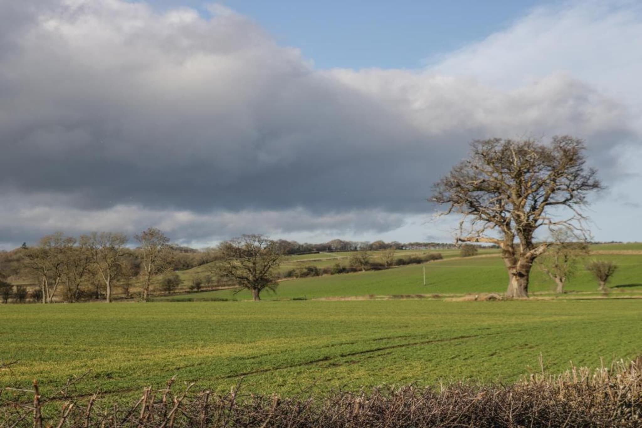 Ryedale Hall Cottage-Gebieden zomer 5km