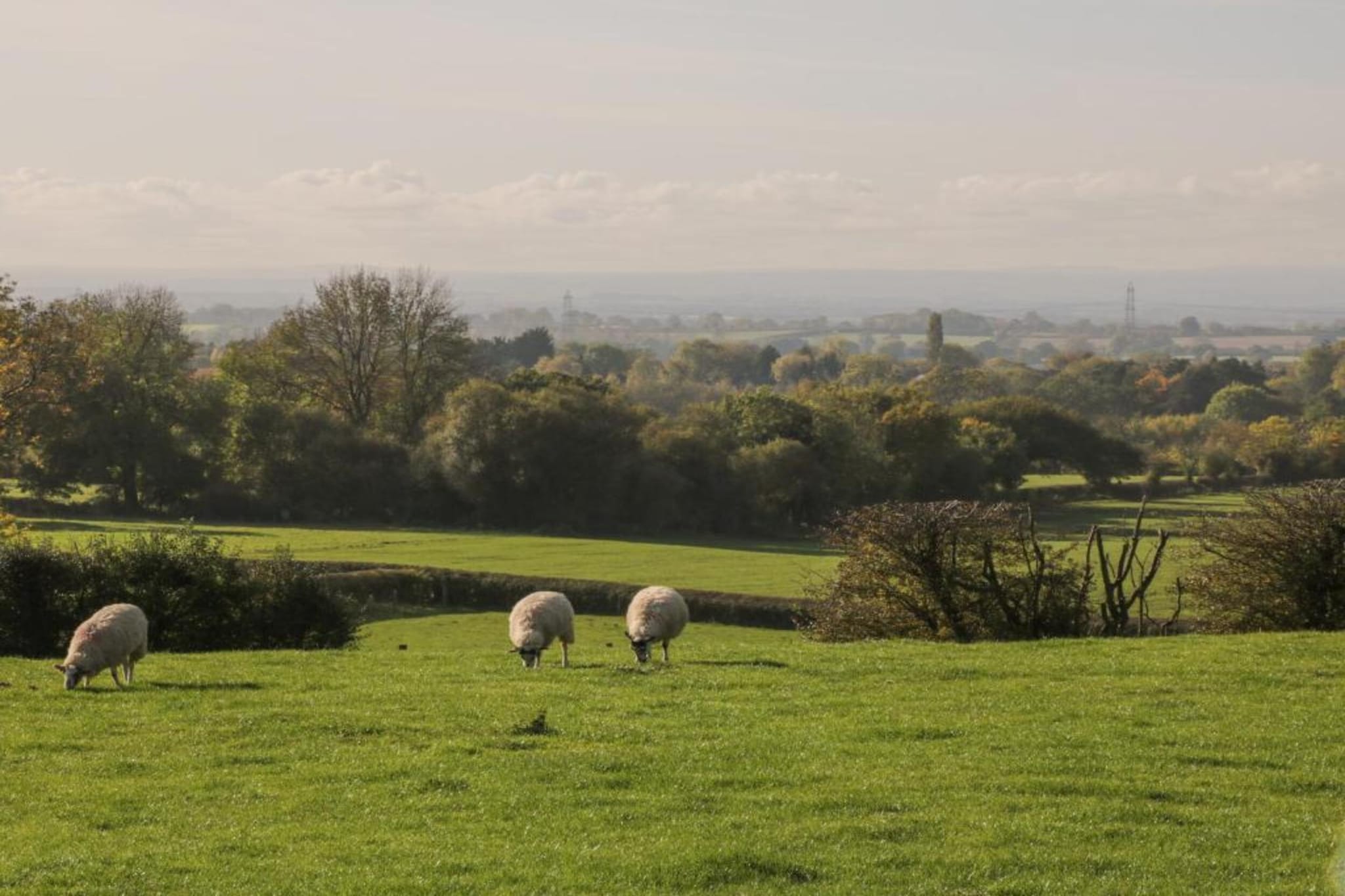 Ryedale Hall Cottage-Gebieden zomer 5km