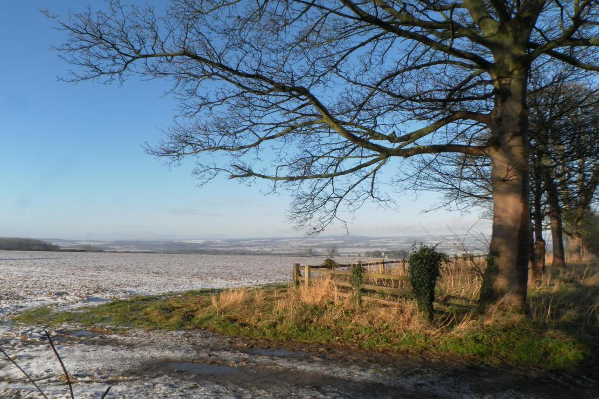 Cleveland Hall Apt-Areas within 20km in summer