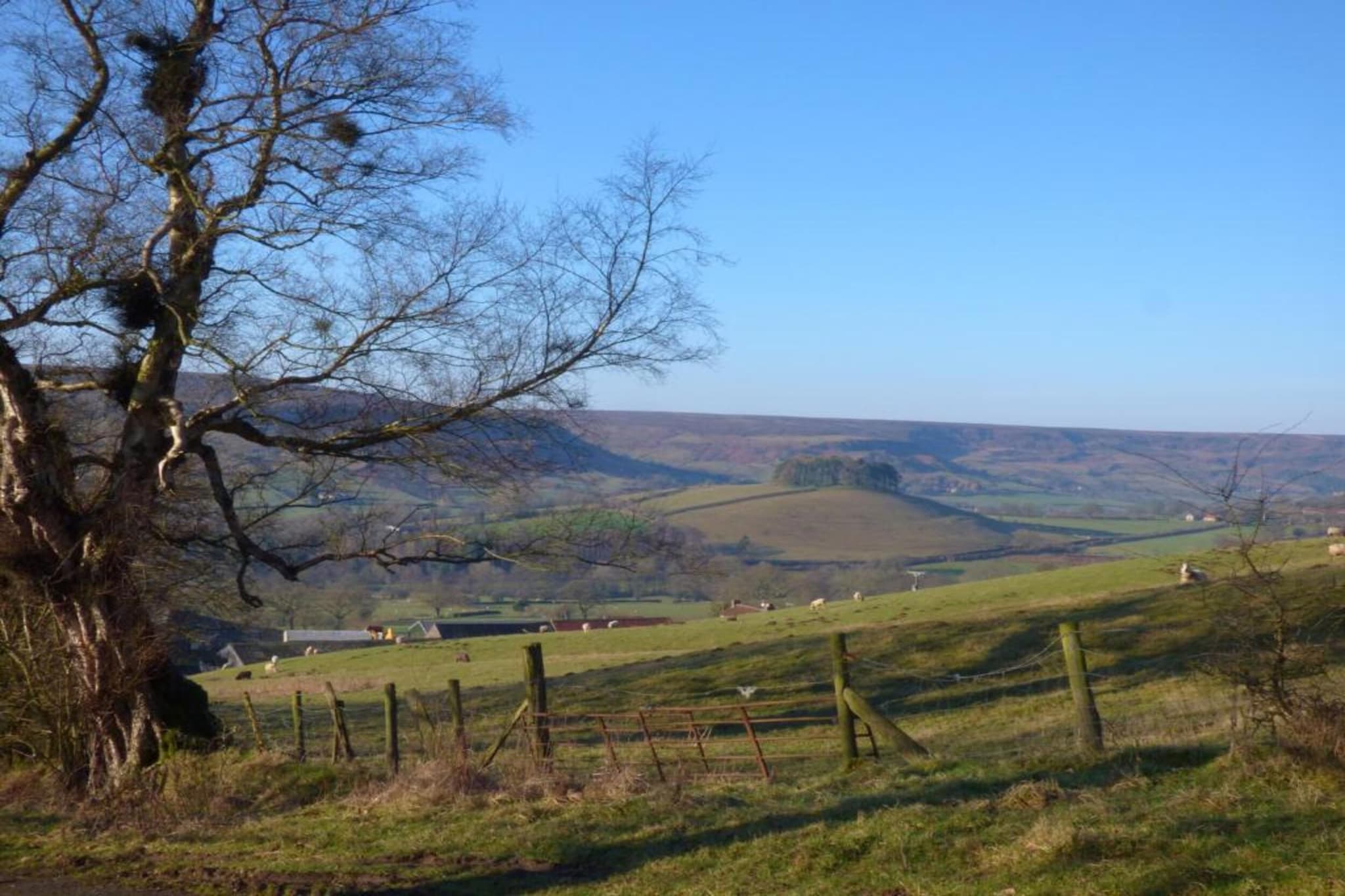 Bilsdale Hall Cottage-Gebieden zomer 5km