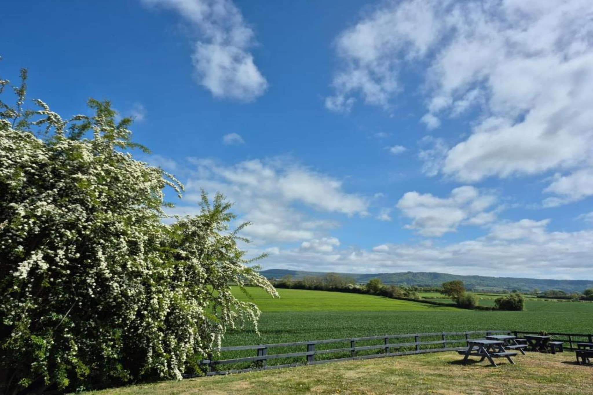 Bilsdale Hall Cottage-Gebieden zomer 5km
