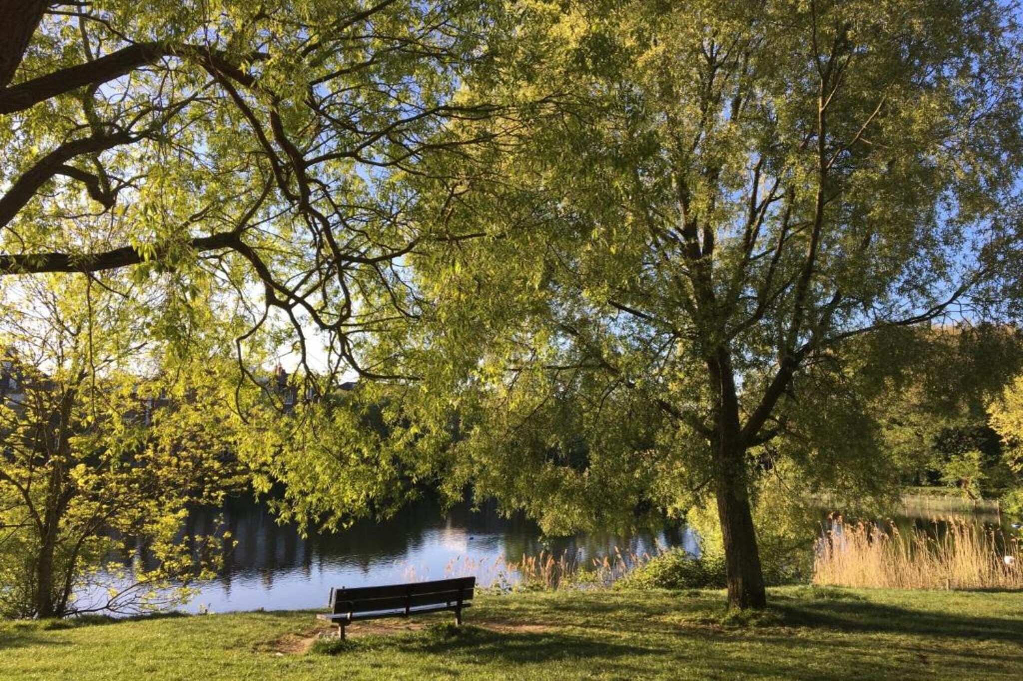 Regents Apartment-Gebieden zomer 5km