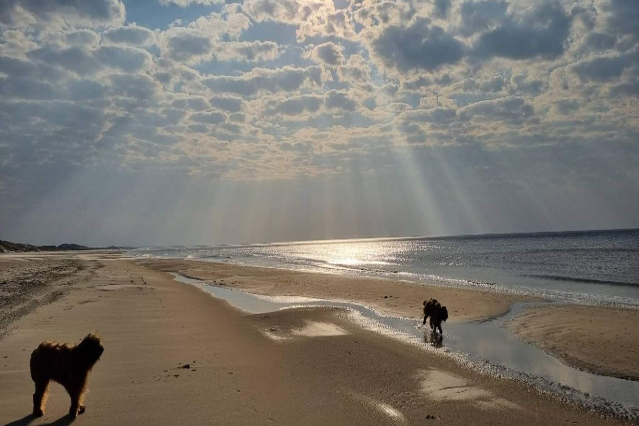 5 Sterne Ferienhaus in Løkken-Im Freien