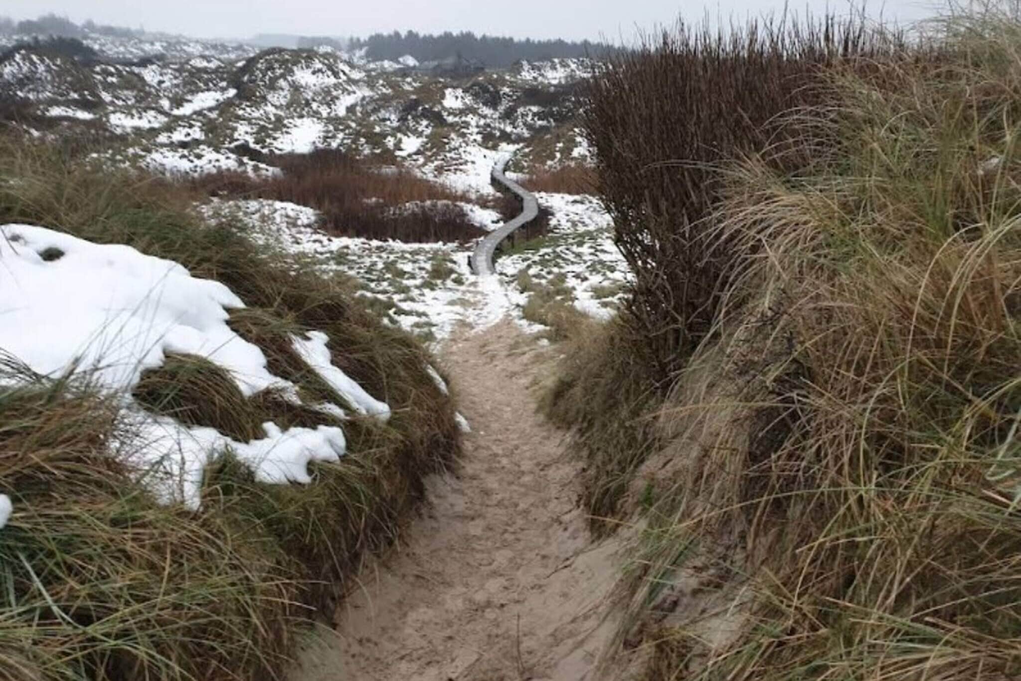 5 Sterne Ferienhaus in Løkken-Im Freien