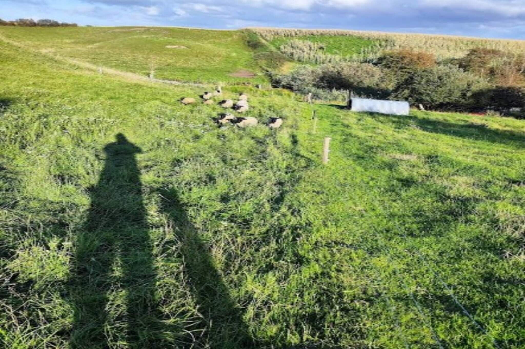 5 Sterne Ferienhaus in Løkken-Im Freien