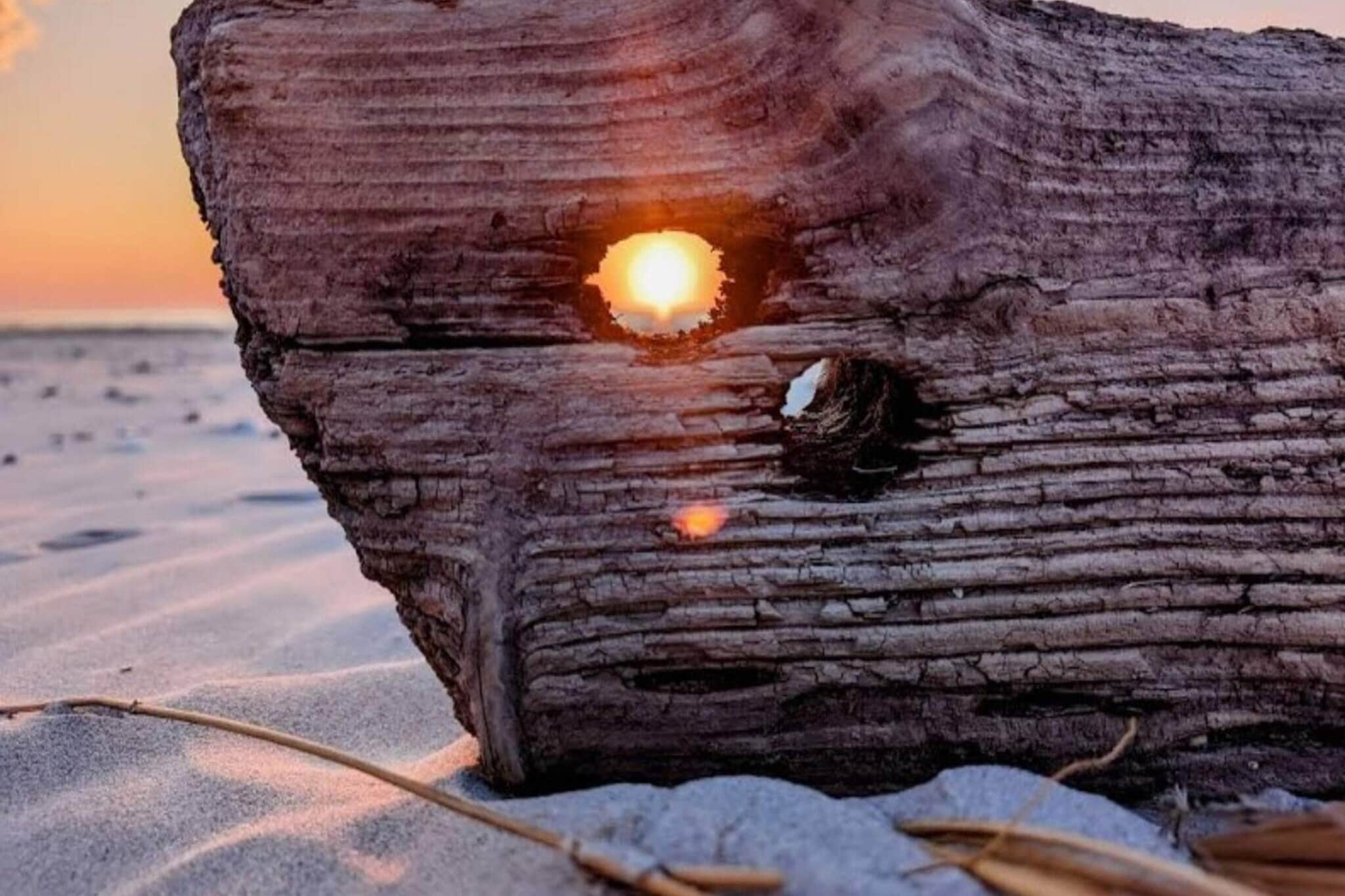 5 Sterne Ferienhaus in Løkken-Im Freien