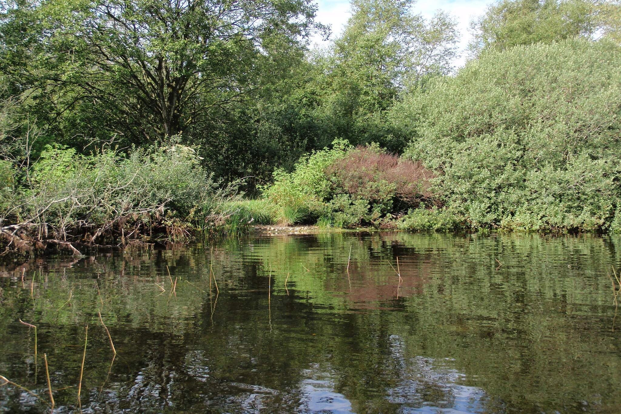 Water View