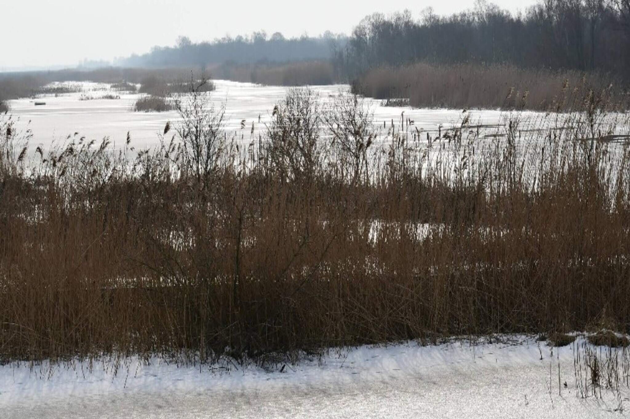 Jammerbg.+ Tannisbg.