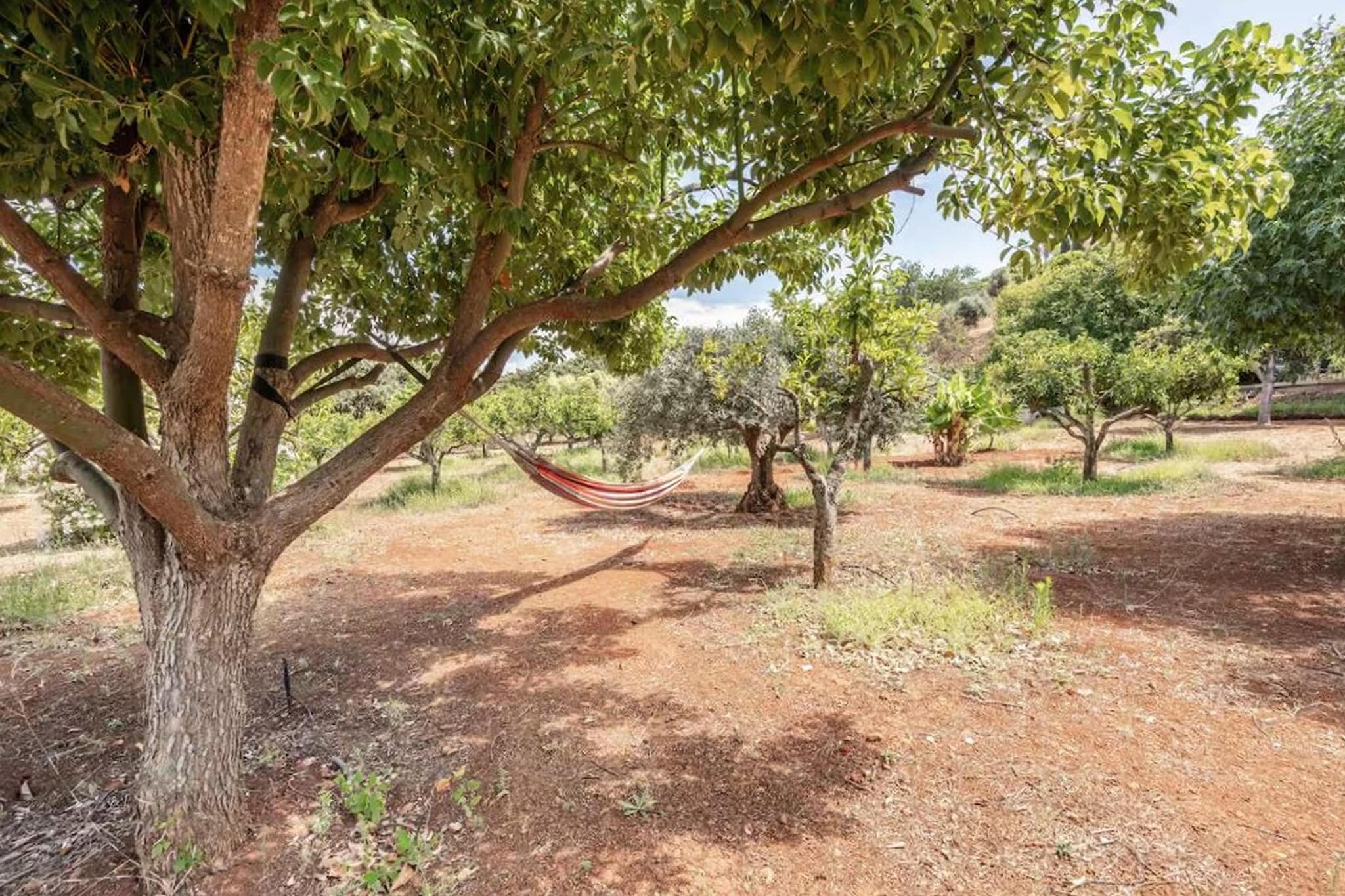 Quinta da Fragura-Jardin d'été