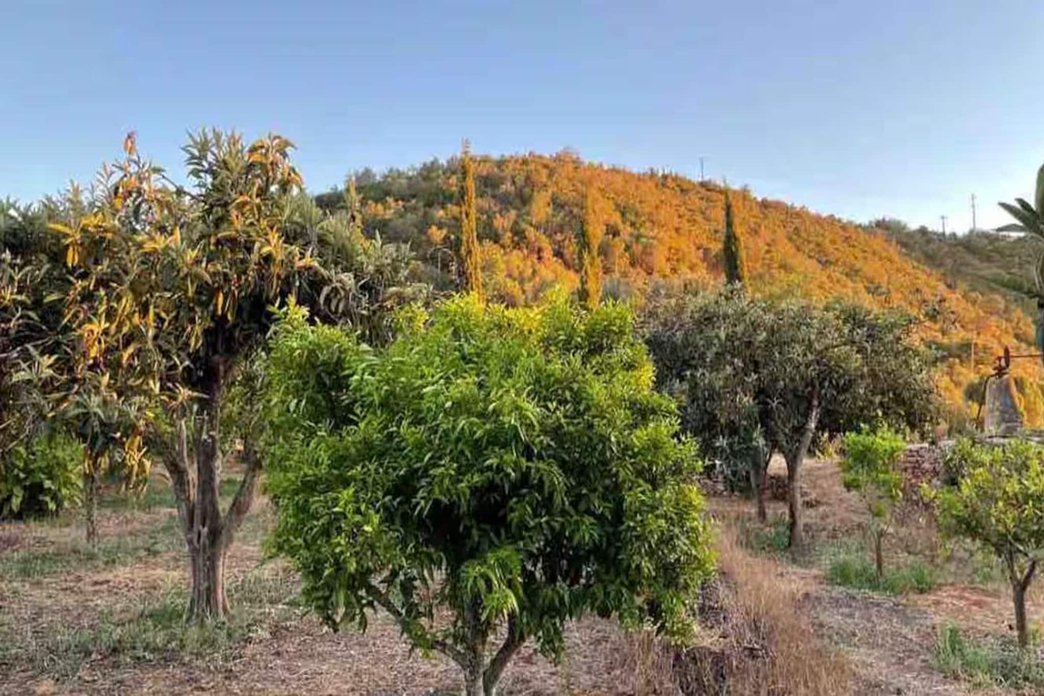 Quinta da Fragura-Vue d'été