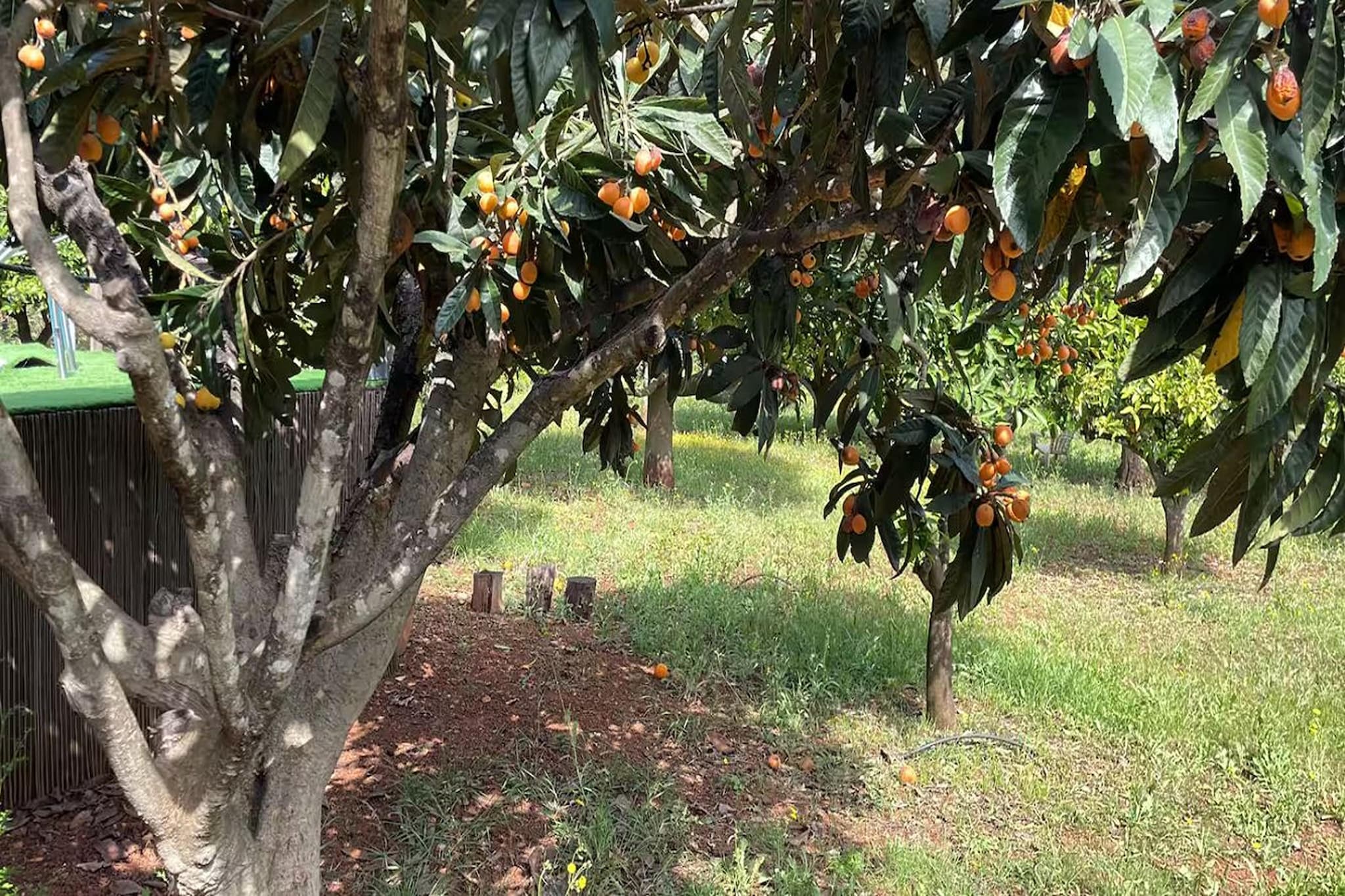 Quinta da Fragura-Zones d'été à 1 km