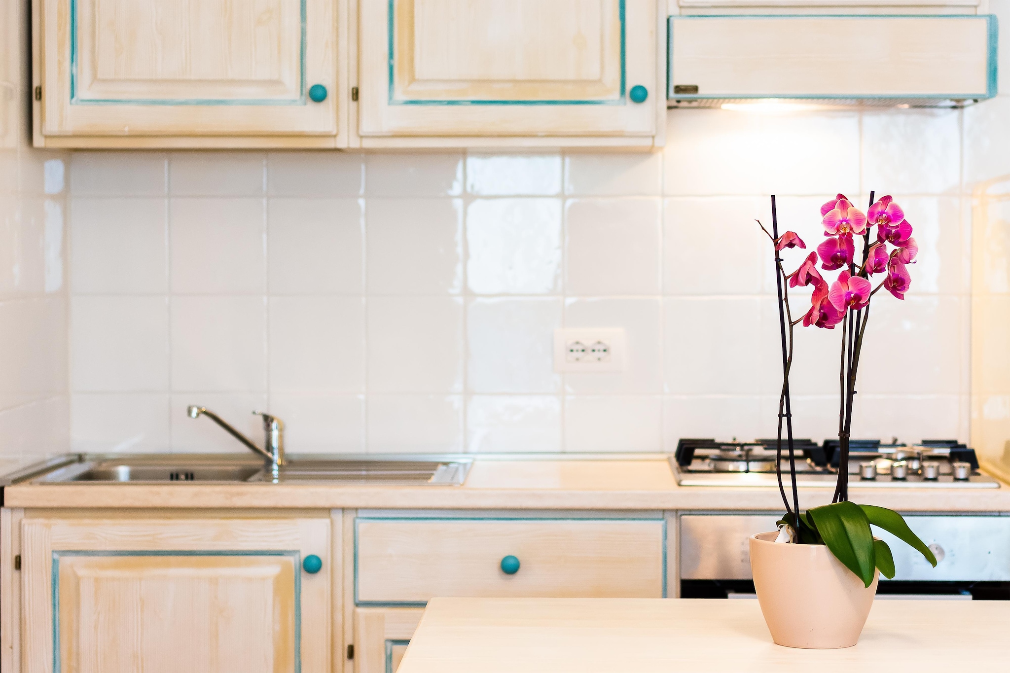 Le Residence del Baia Marina Bilo 4 premium-Keuken