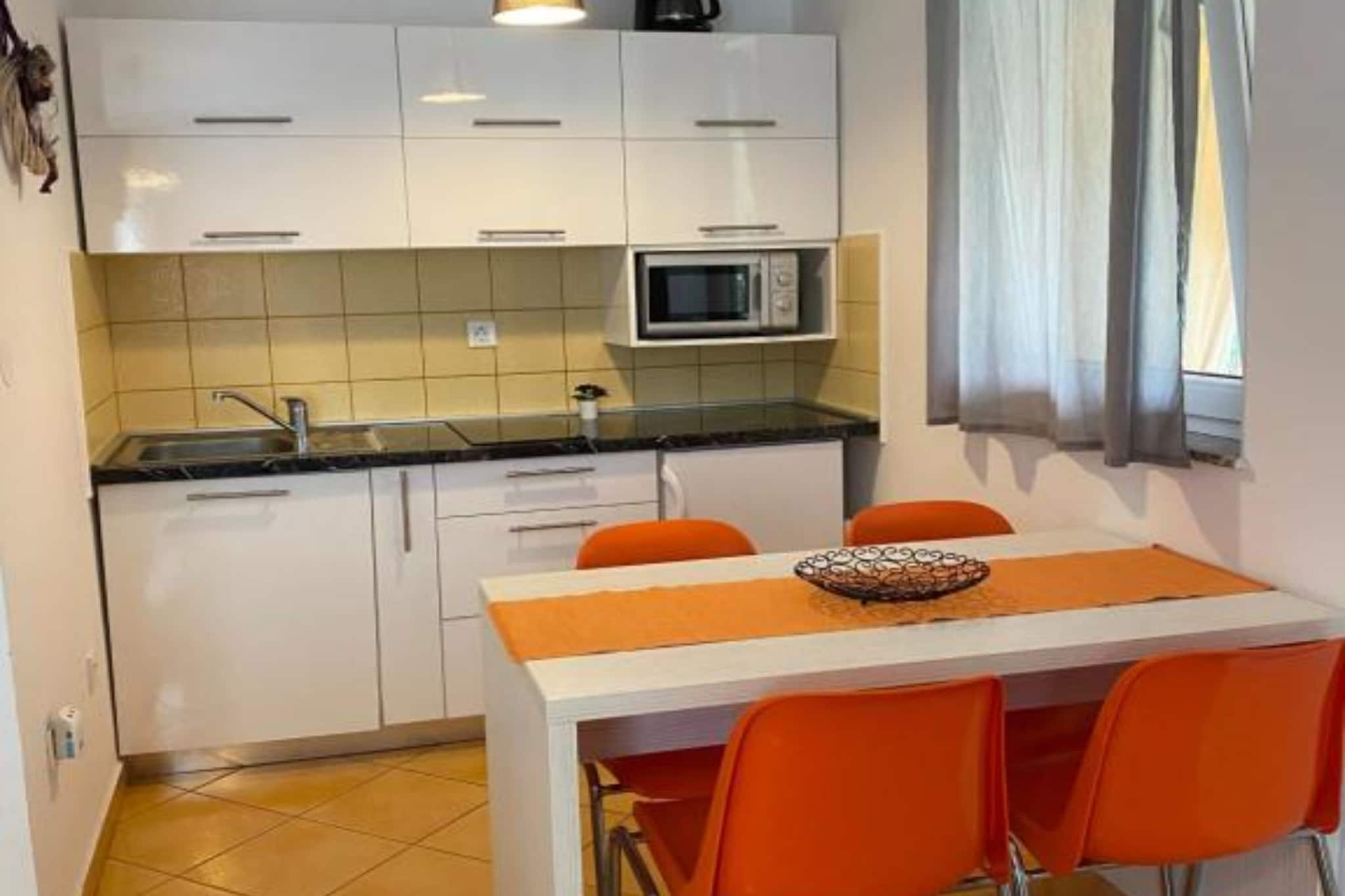 Apartments Lara Rab - Studio Apartment with Balcony-Kitchen