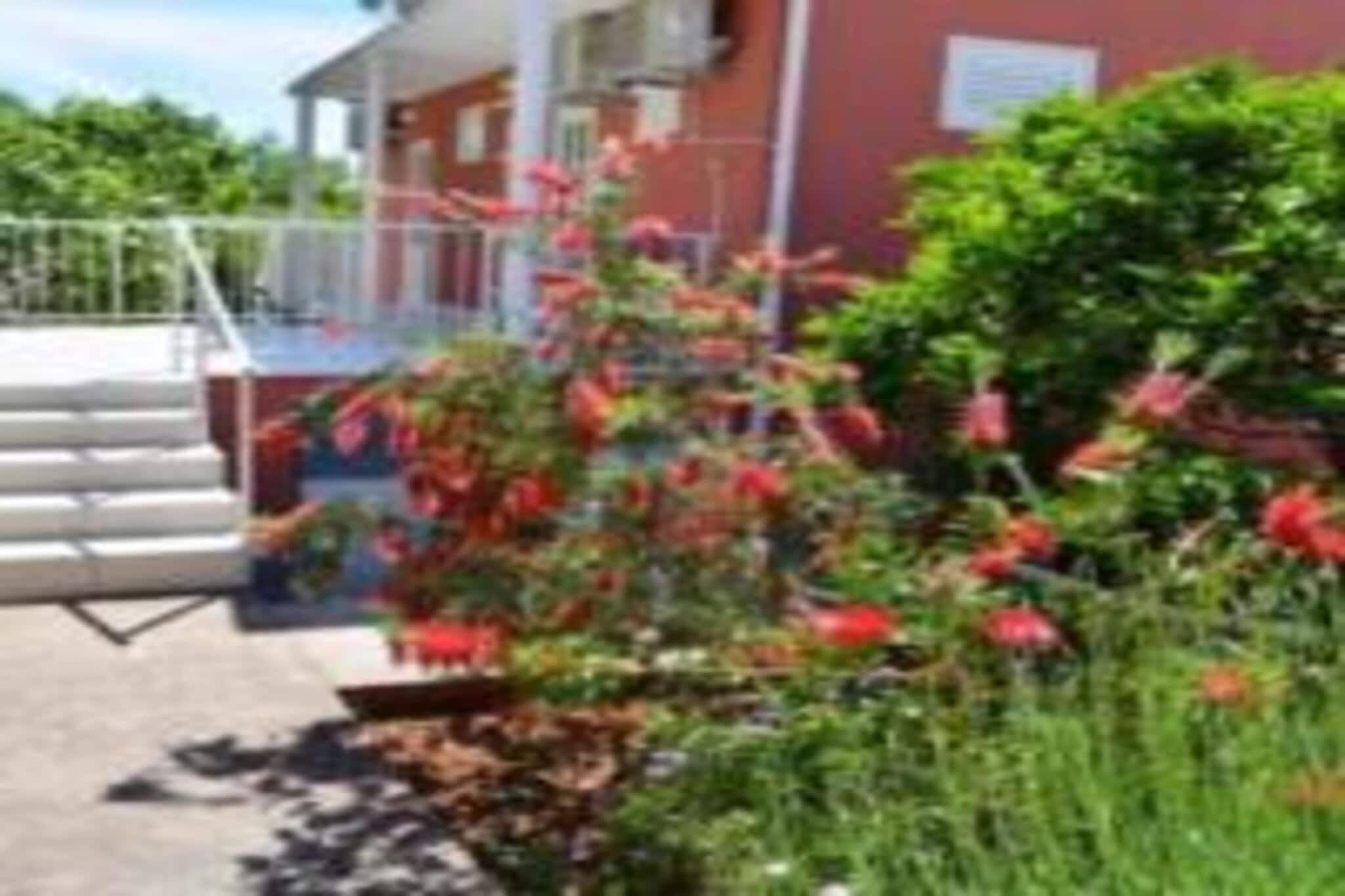 Apartments Bleuš - One Bedroom Apartment with Balcony and See View 1-Außenbereich