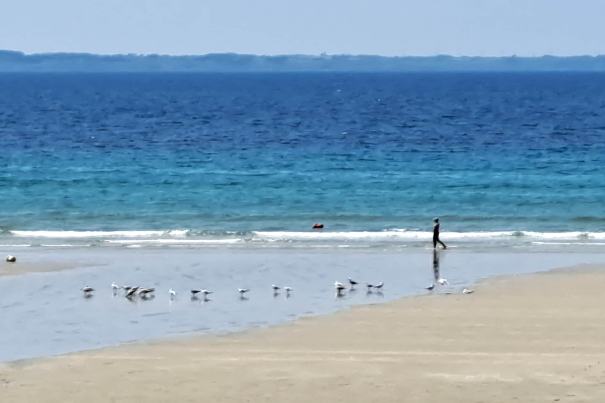 Doppelhaushälfte in Telgruc sur mer-Gebieden zomer 5km