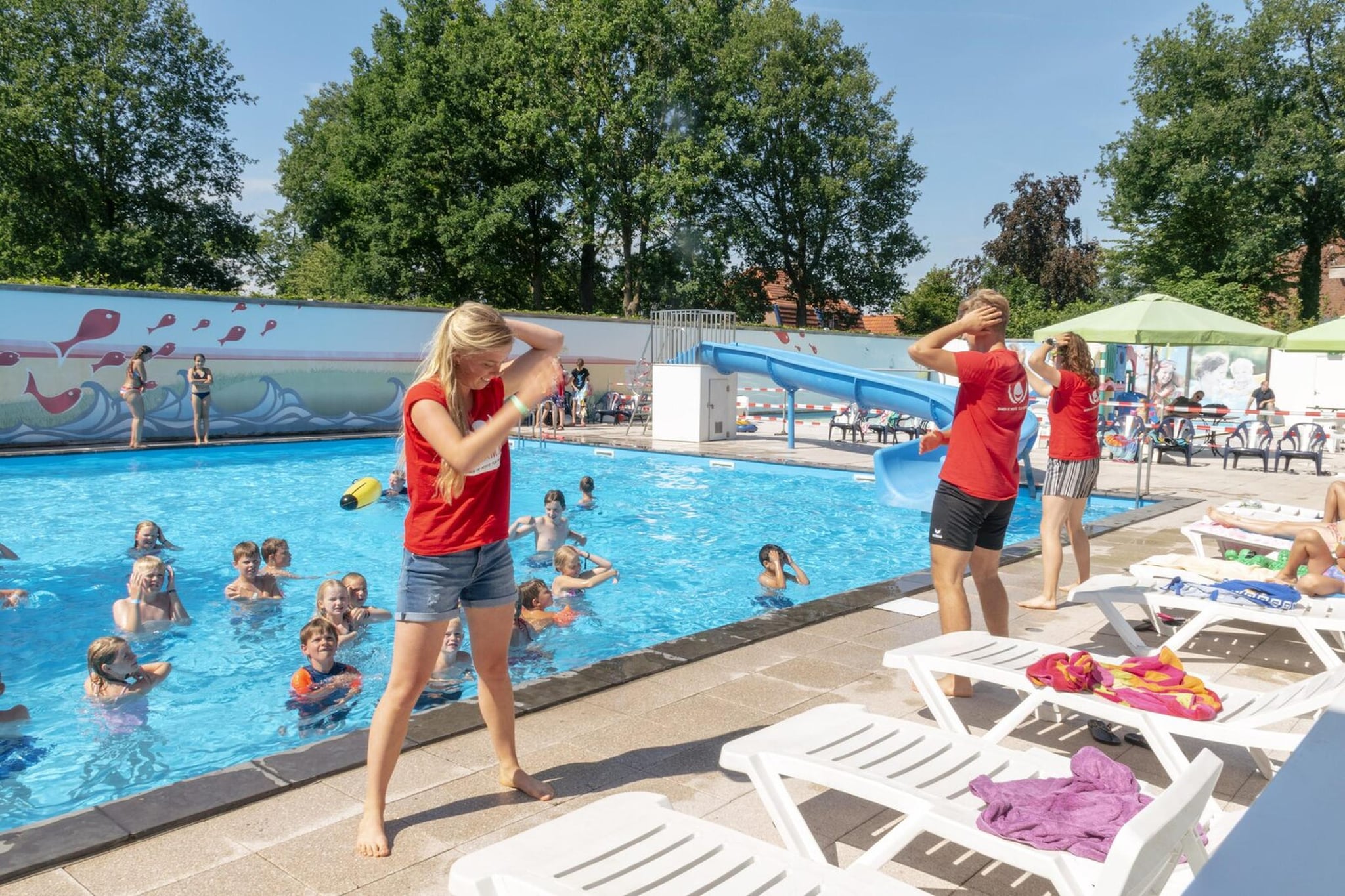 Chalet 35m2 B | 4 personen-Parkfaciliteiten