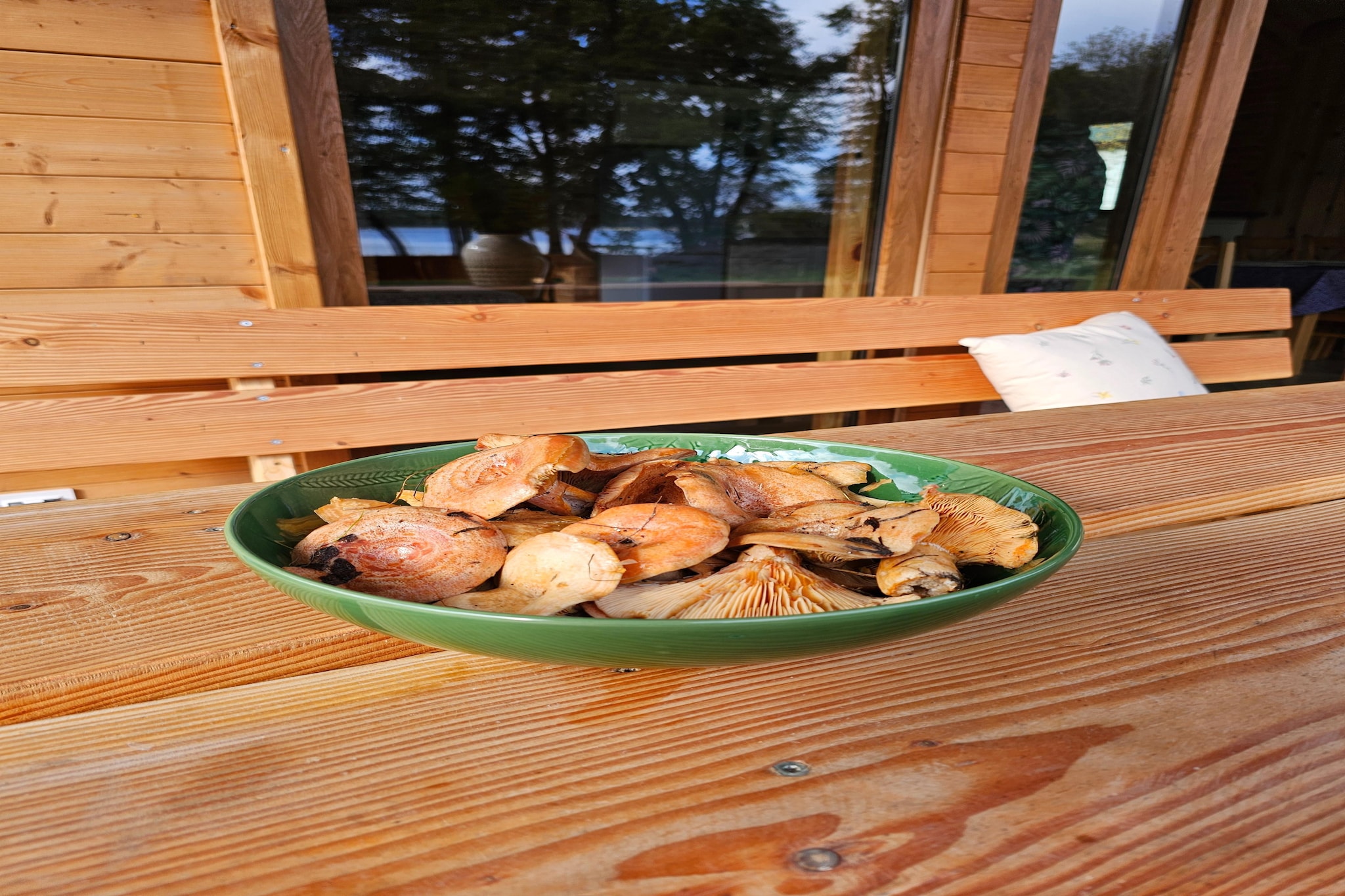 	Domek wakacyjny LAWENDA dla max 4 osób Grąbczyn-Terrasbalkon