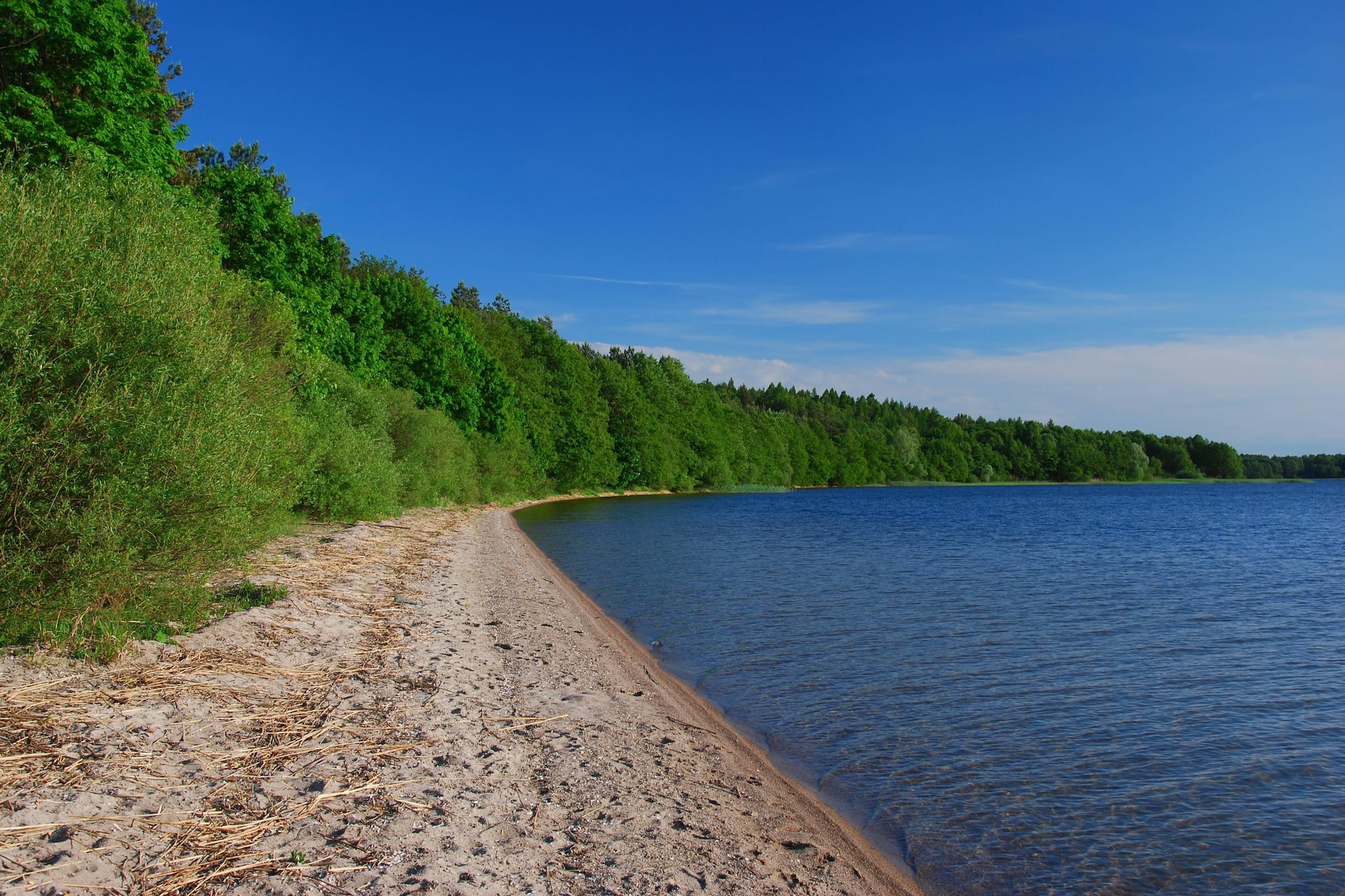 	Domek wakacyjny LAWENDA dla max 4 osób Grąbczyn-Gebieden zomer 1km