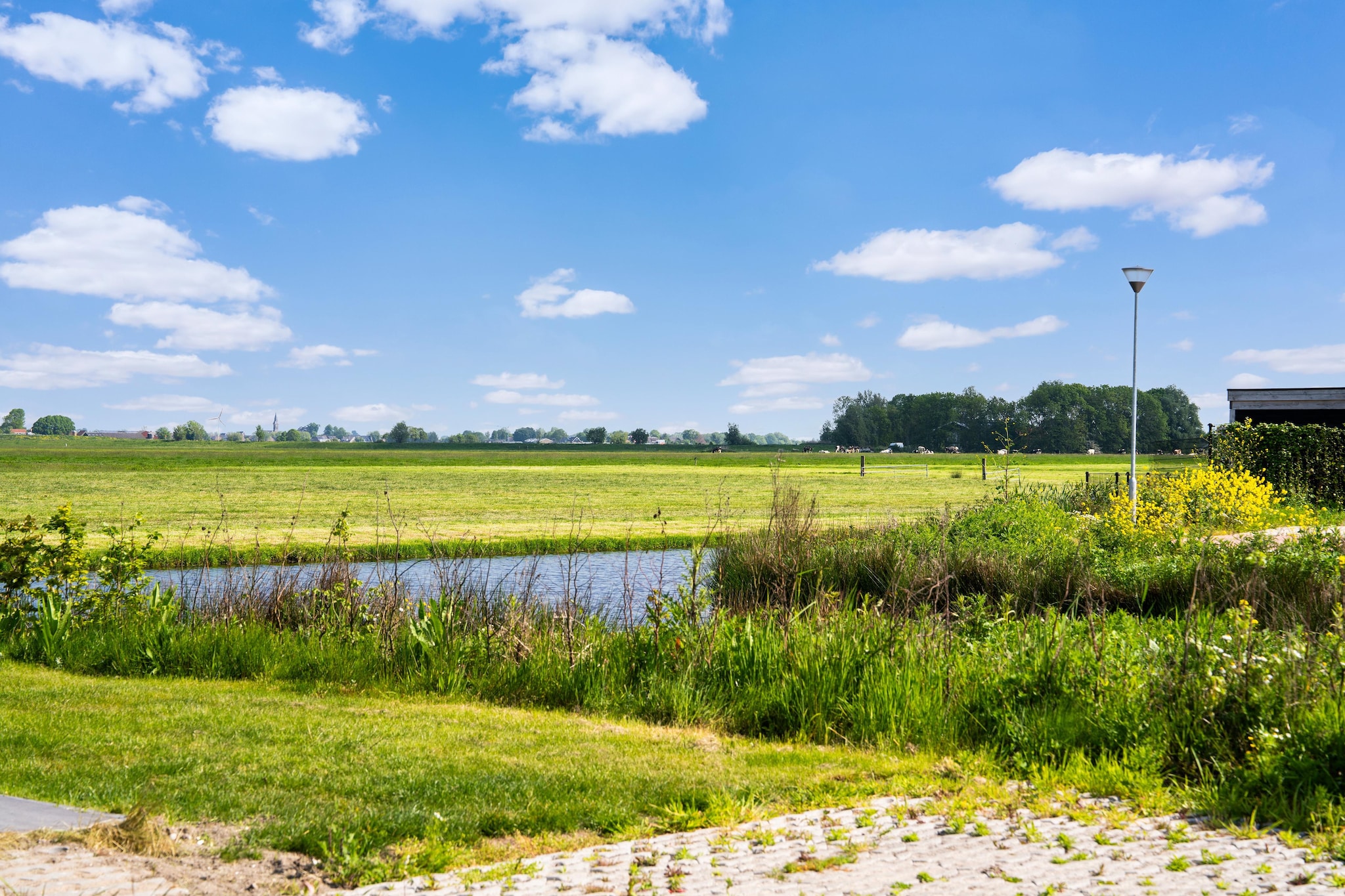 Leiden-Gebieden zomer 20km