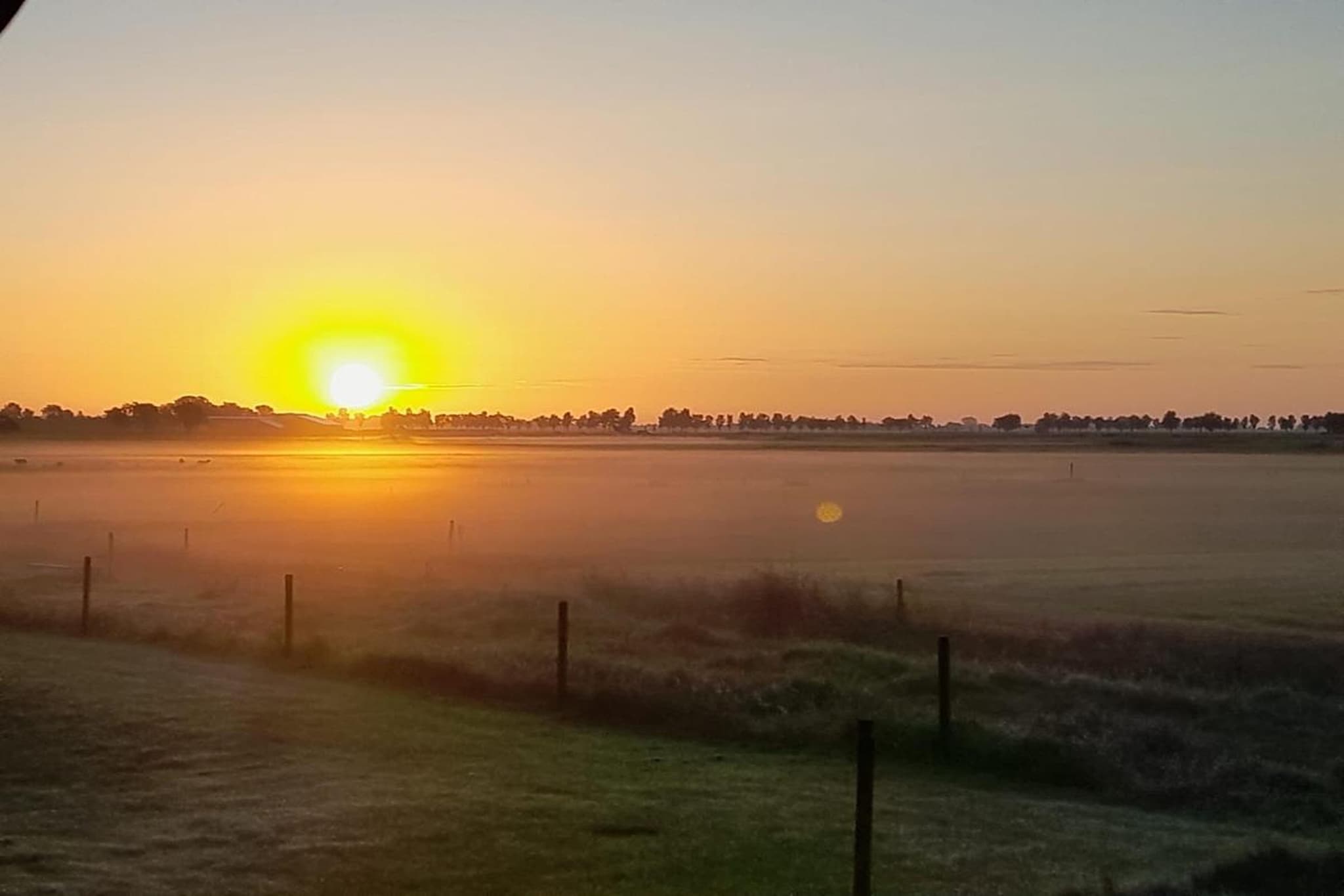 Grutto en Turleluur-Uitzicht zomer