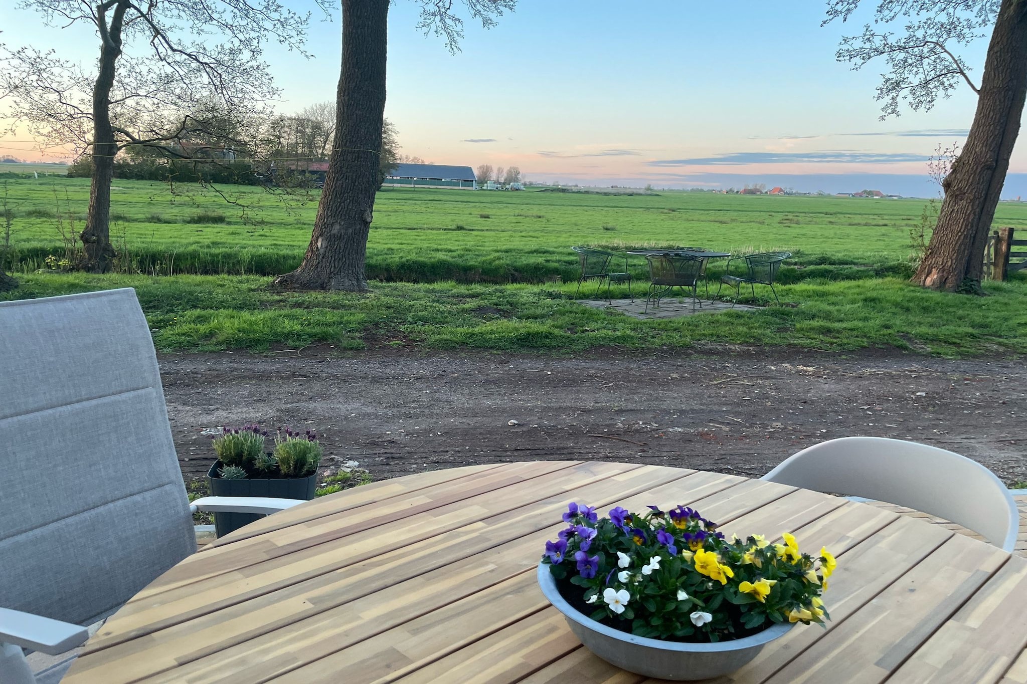 Berkenhof 8 personen-Terrasbalkon