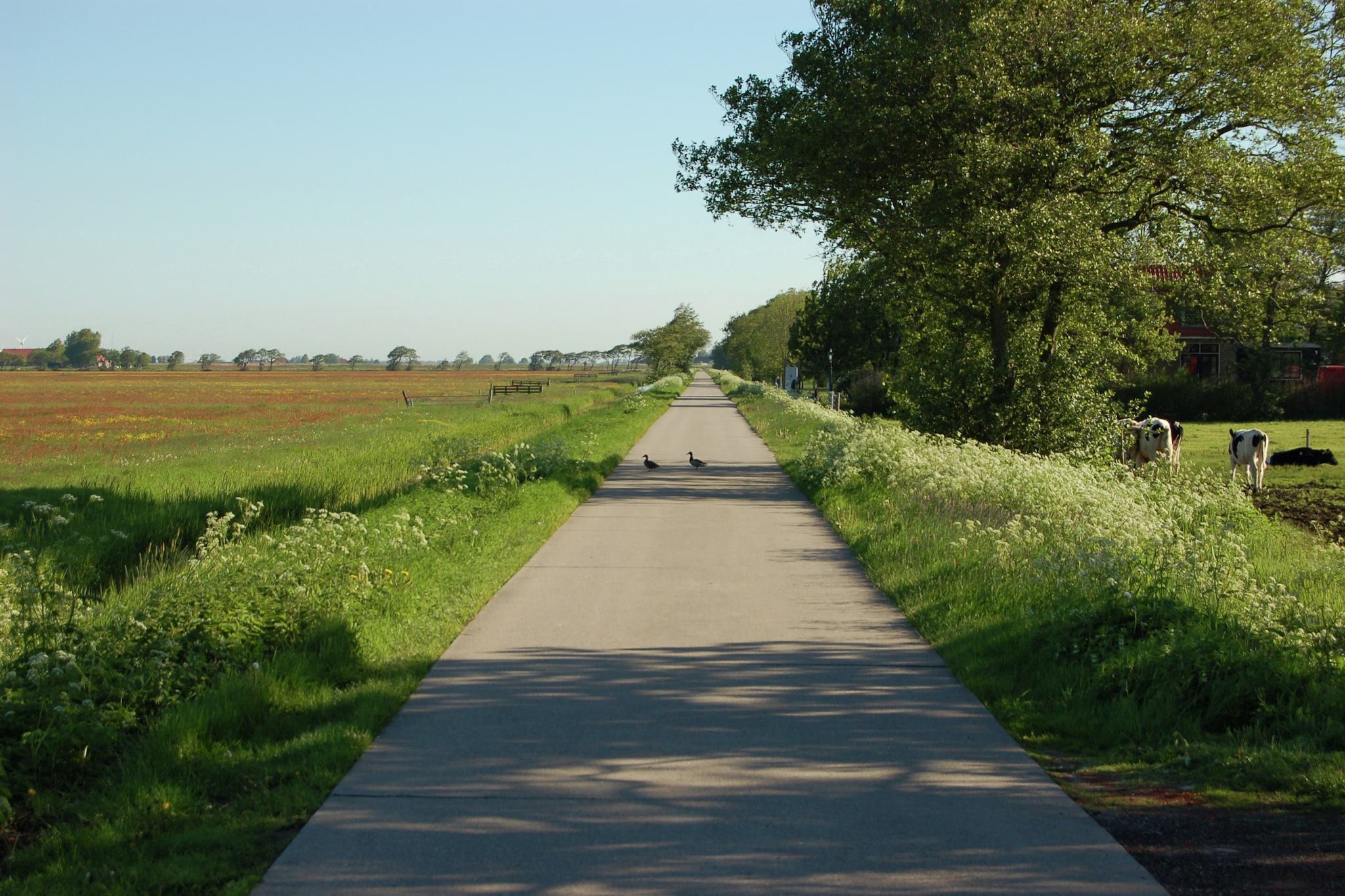 Berkenhof 8 personen-Gebieden zomer 1km