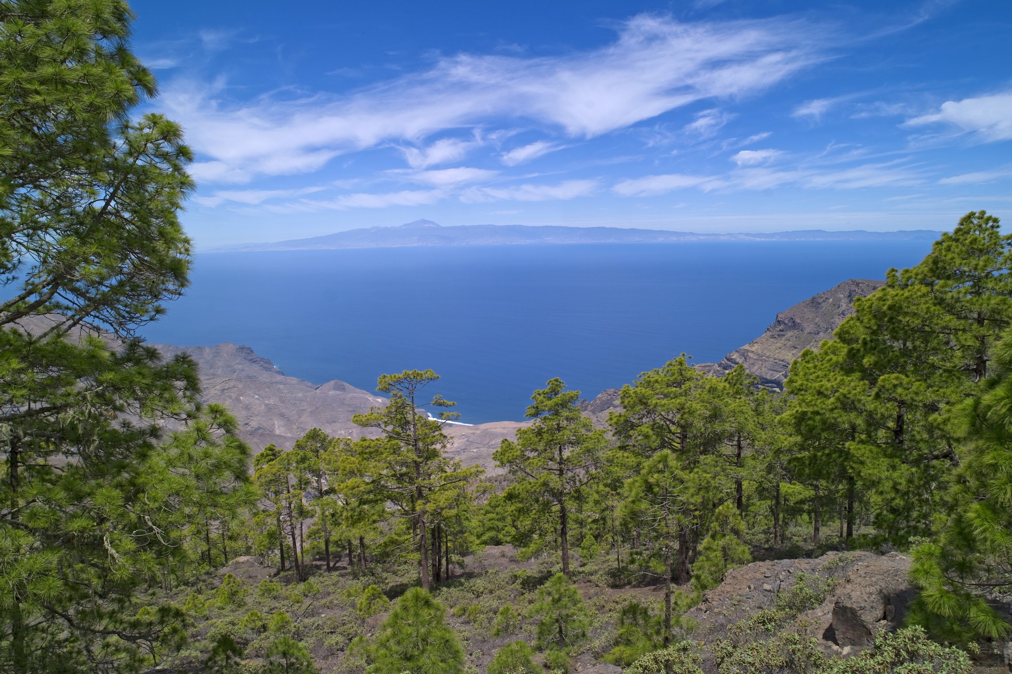 Las Adelfas South Beach 5 By CanariasGetaway-Buitenlucht