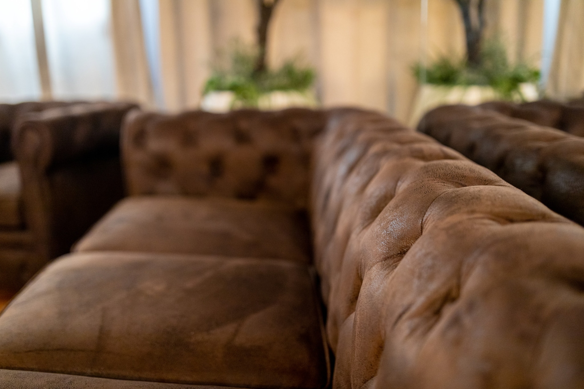 Bolivar cute home By CanariasGetaway-Sfeer
