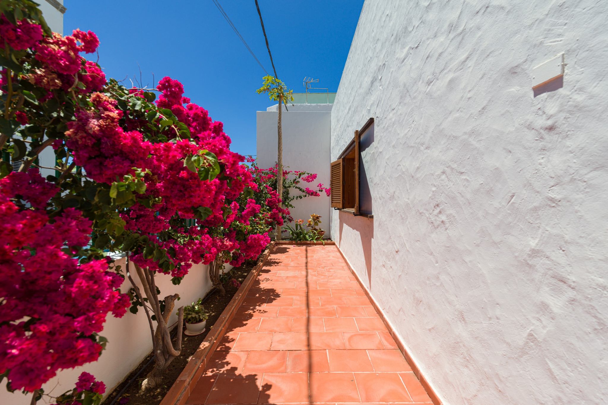 Agaete Pupe Home by Canariasgetaway-Outdoor