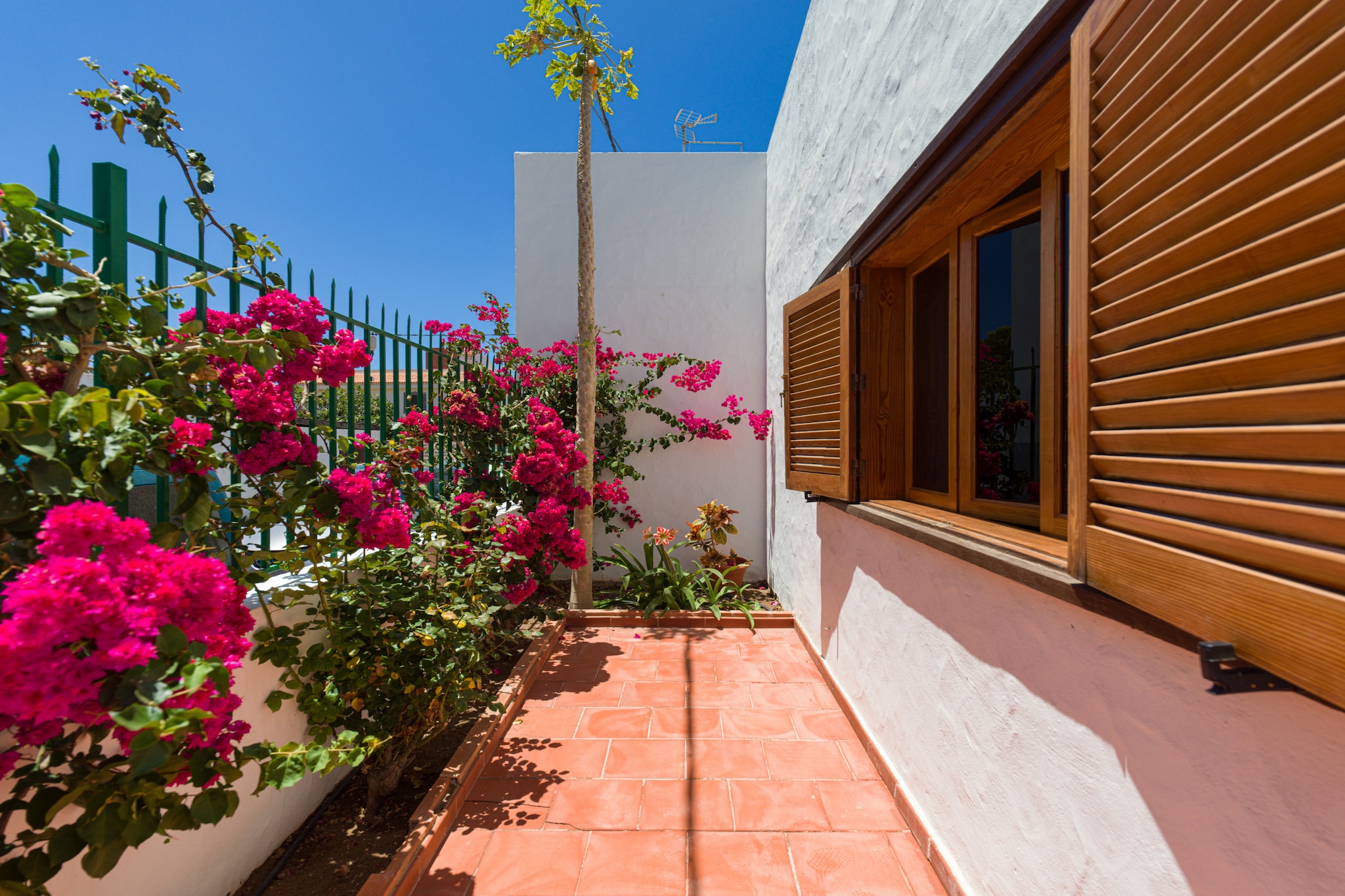 Agaete Pupe Home by Canariasgetaway-Outdoor
