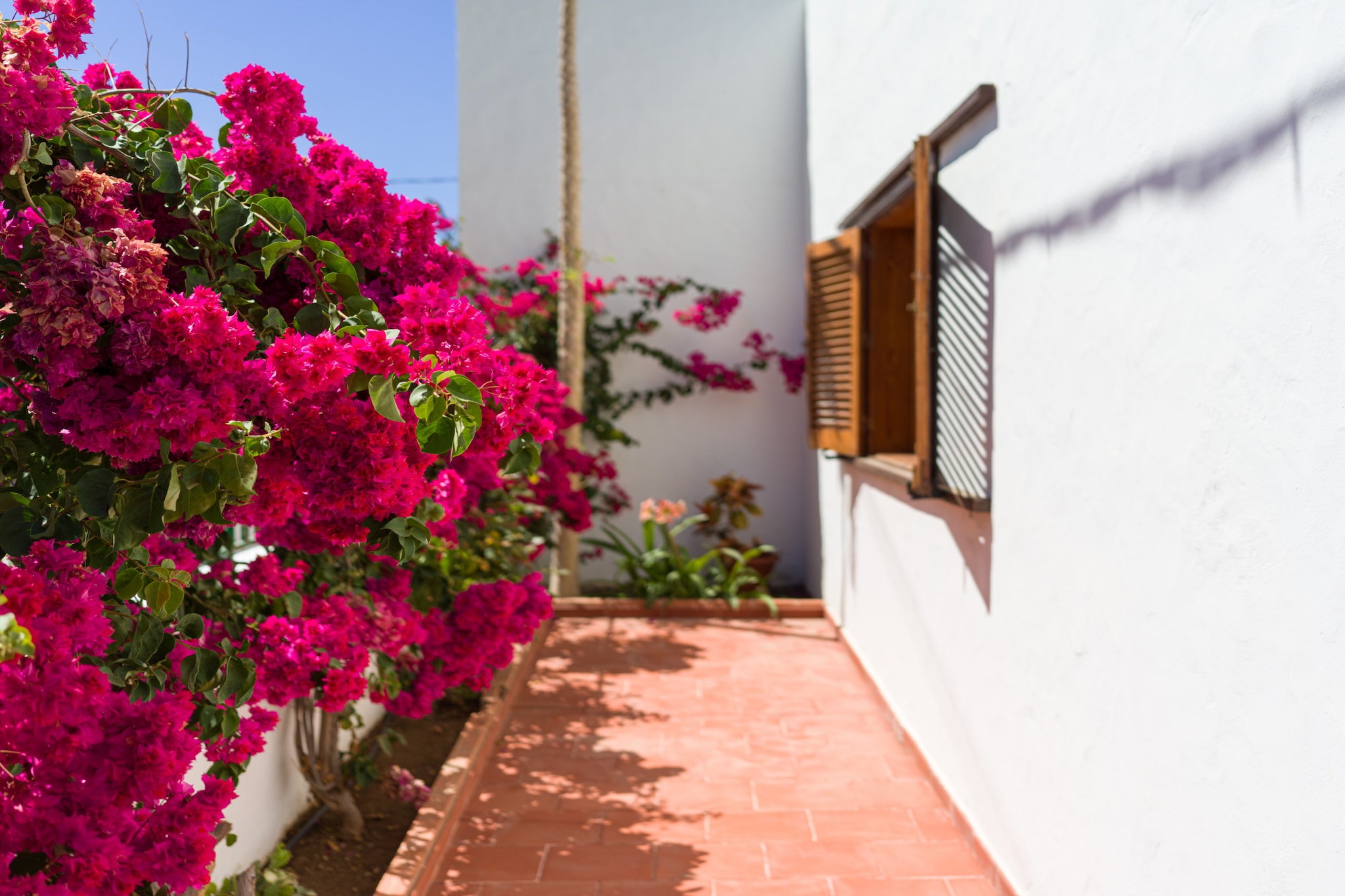 Agaete Pupe Home by Canariasgetaway-Outdoor