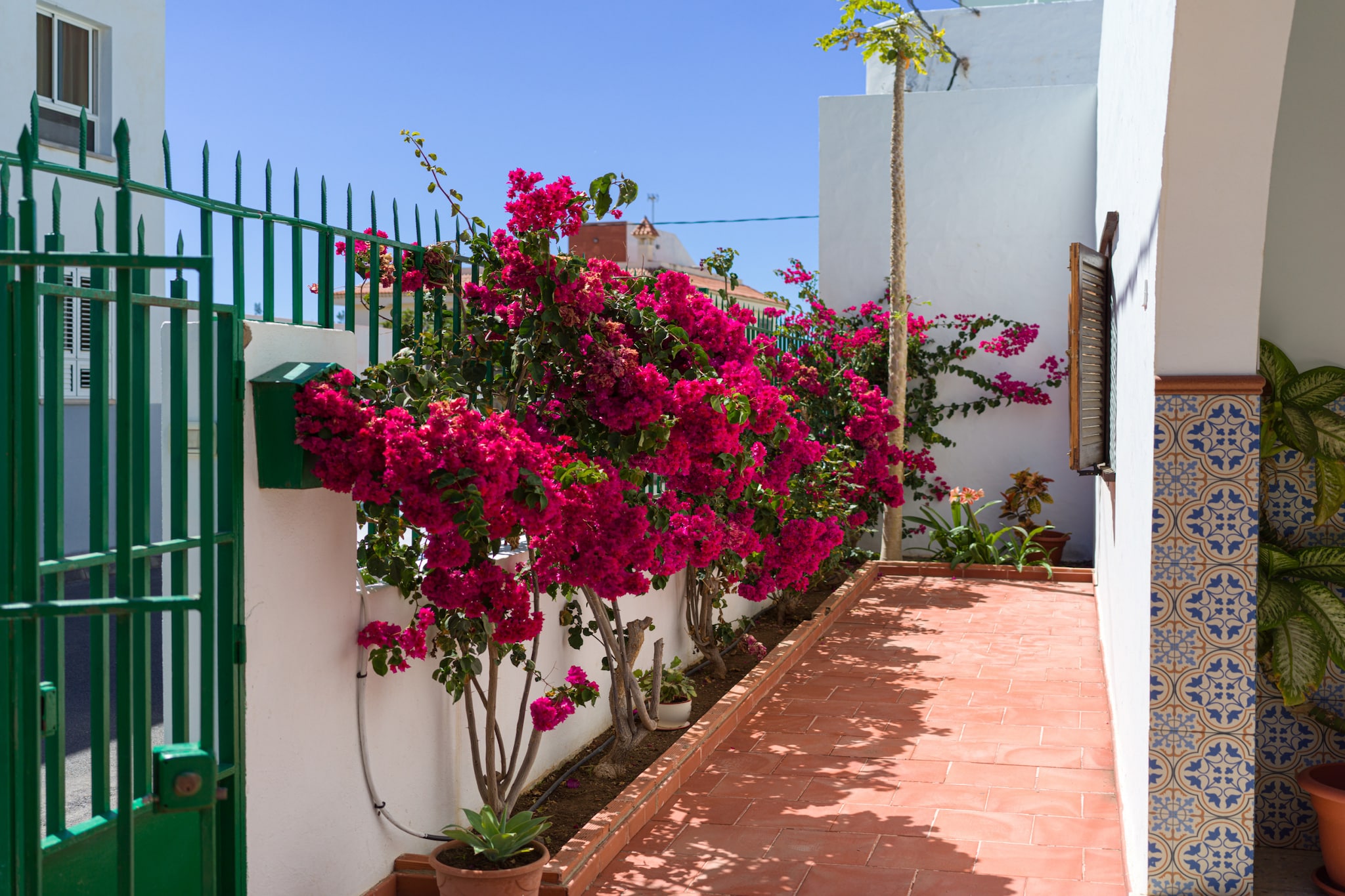 Agaete Pupe Home by Canariasgetaway-Outdoor