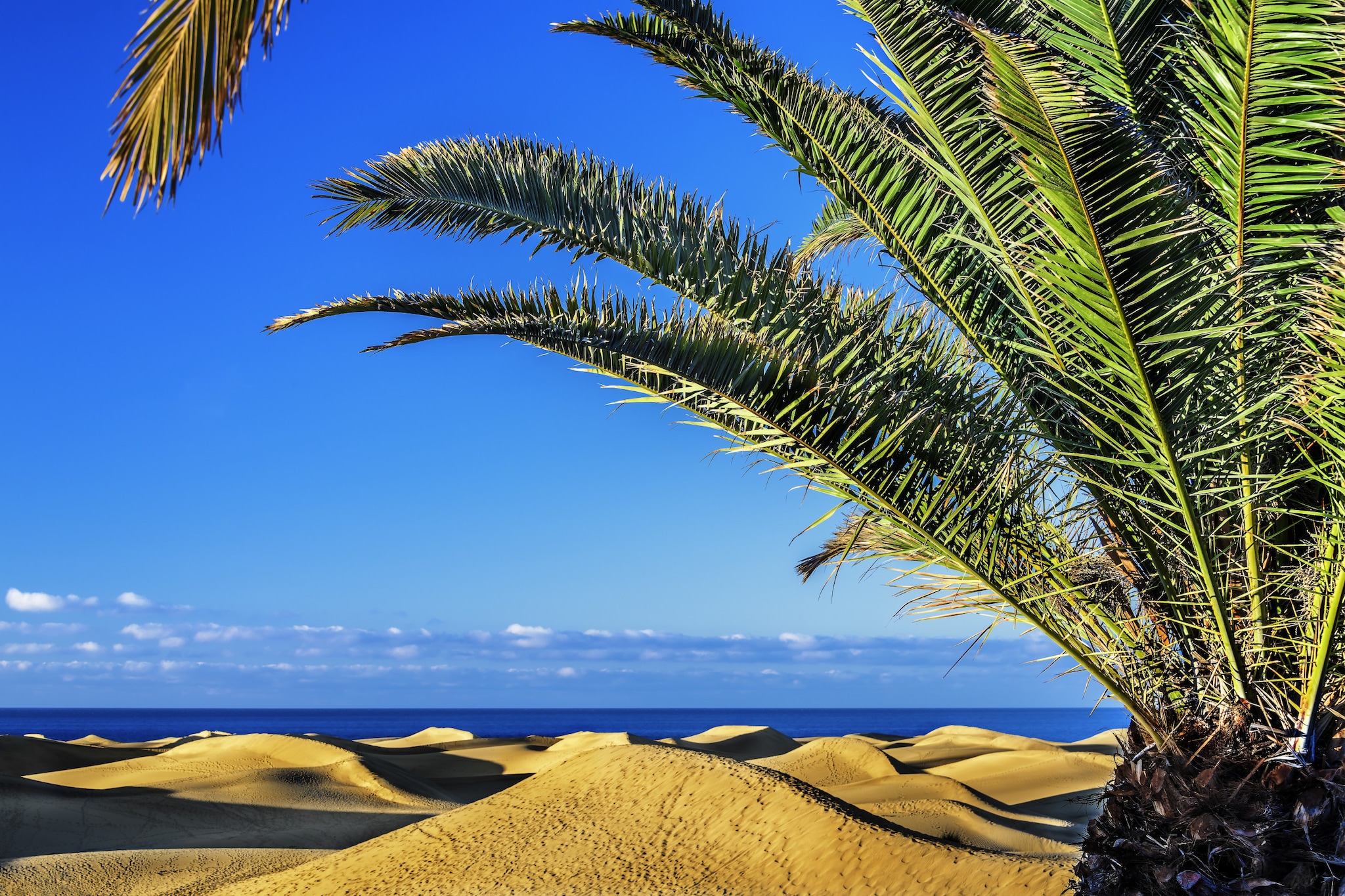 Deluxe Beachside 2C By CanariasGetaway-Extérieur