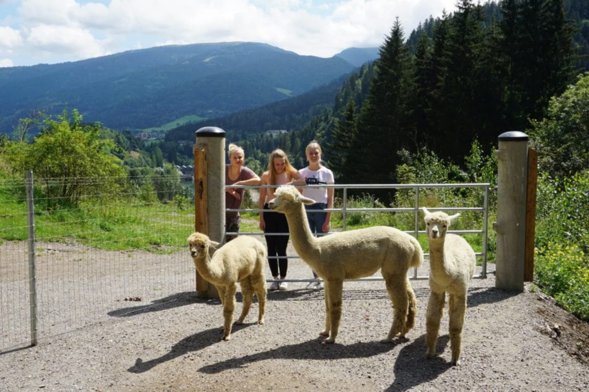 Vitalhof am Kreischberg 3-Niet-getagd