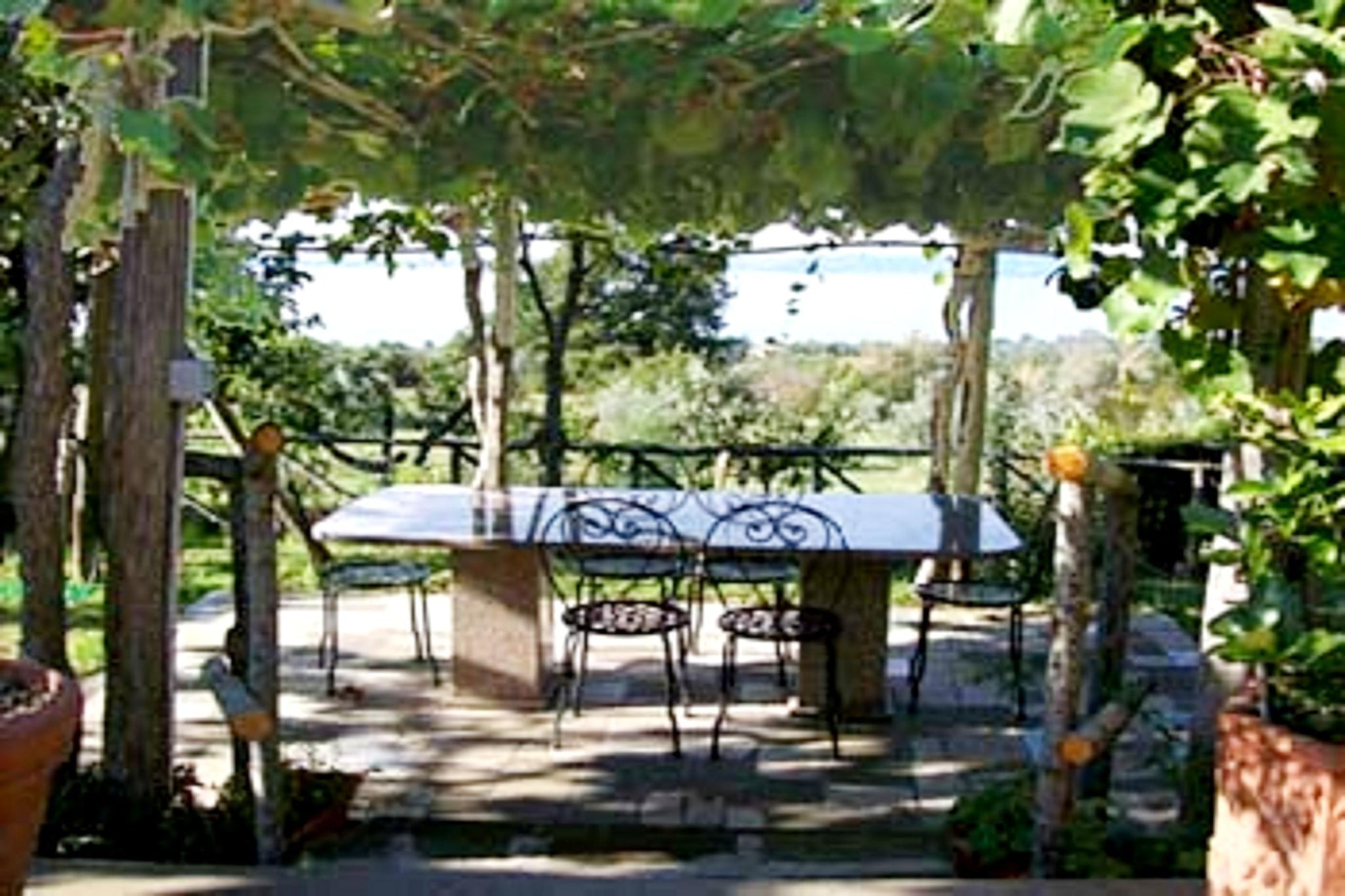 Casale Citerno-Gardens summer