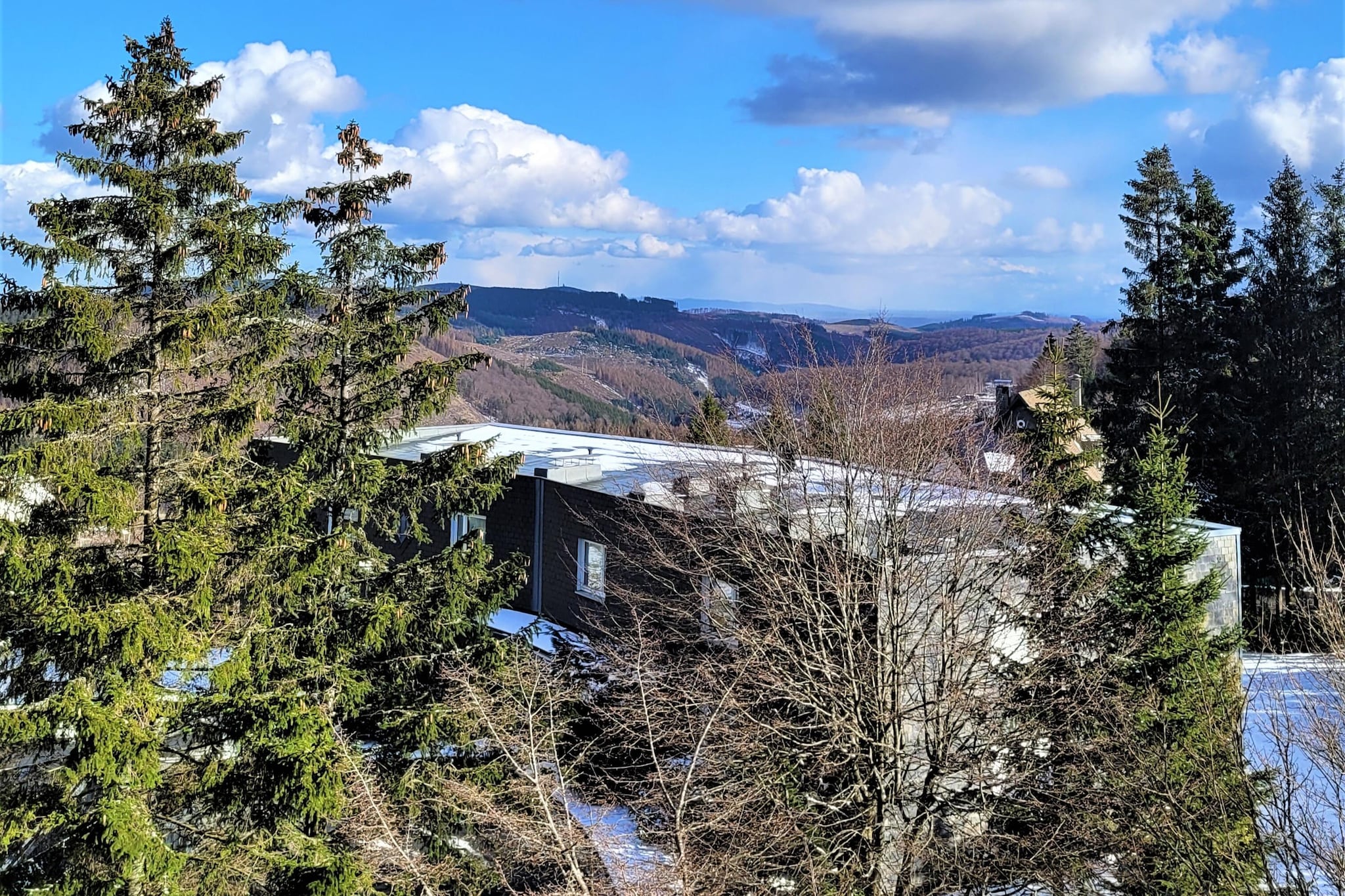 Winterberg Appartement 21122-Uitzicht zomer