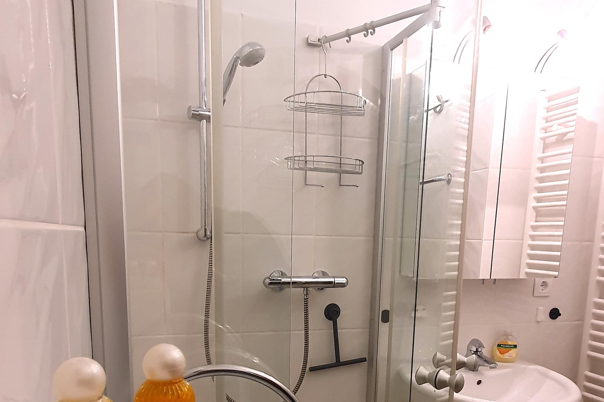 Winterberg Appartement 21123-Badkamer