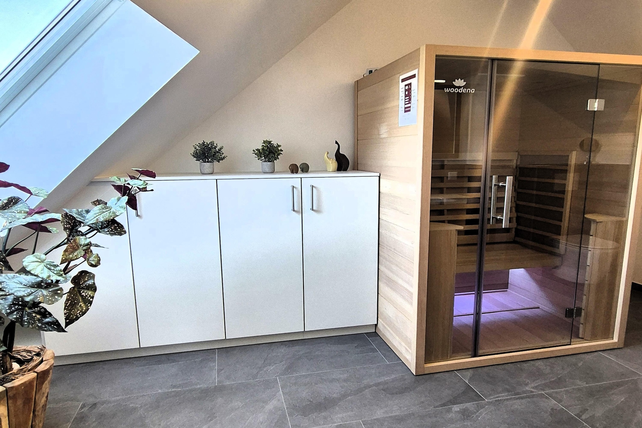 Winterberg Appartement 21135 - 9 P-Wellness