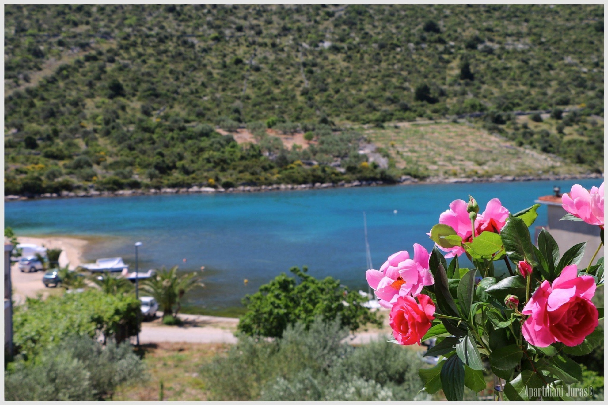 Apartments Juras - Studio Apartment with Sea View (Mia)-View