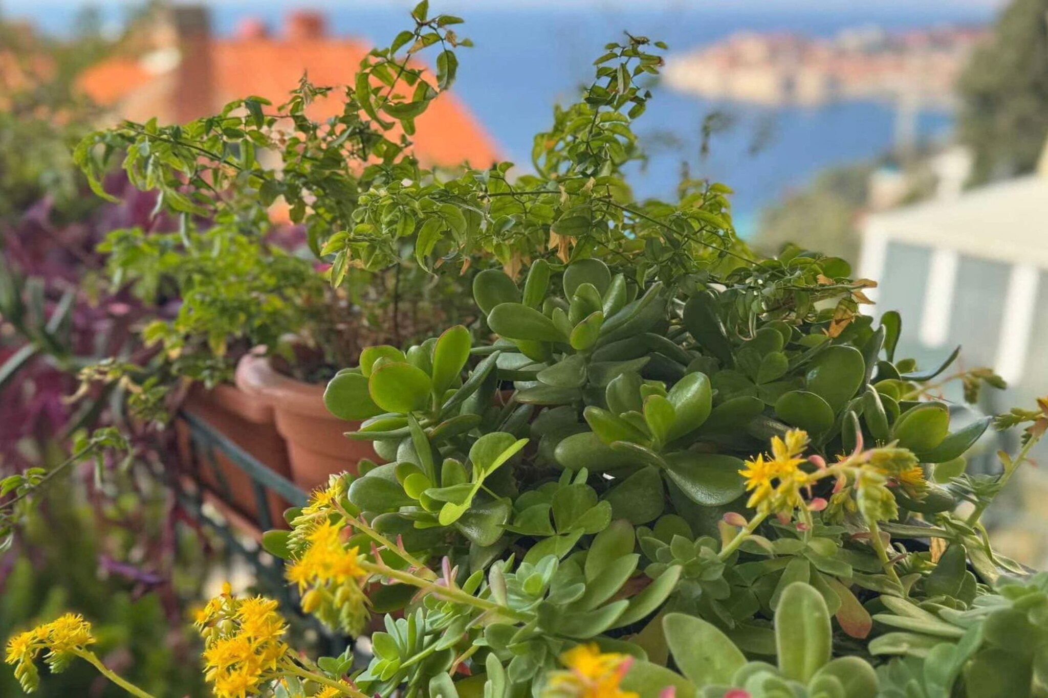 Charming Apartment with Terrace and Old Town View - One Bedroom Apartment with Terrace-Außenbereich