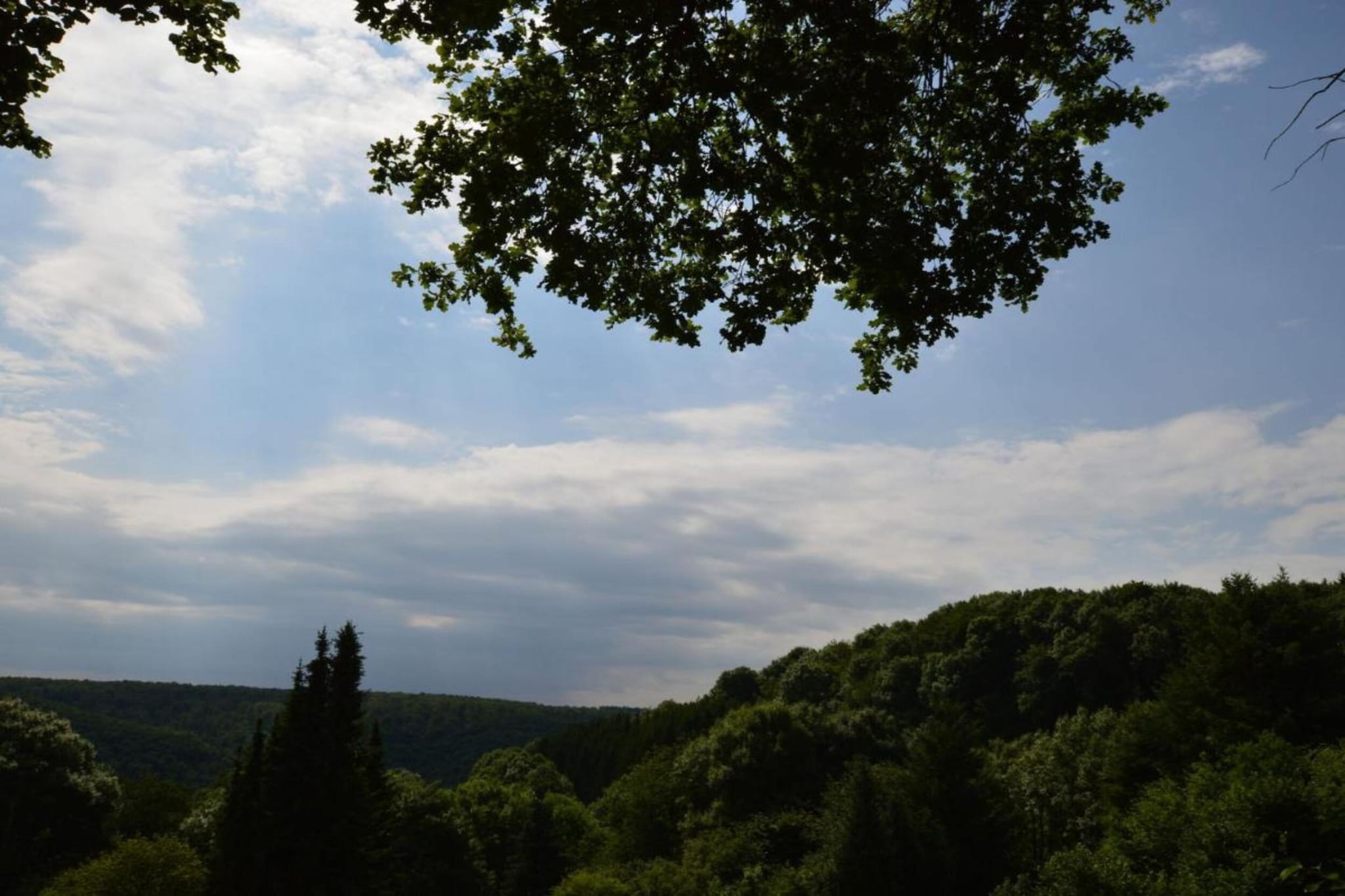 Turm zur Pfaffenley-Gebieden zomer 20km