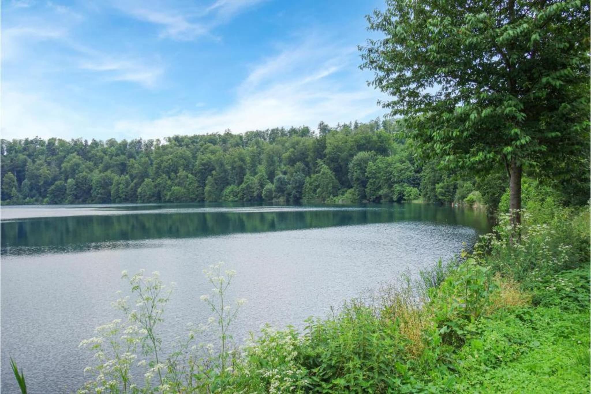 Turm zur Pfaffenley-Gebieden zomer 20km