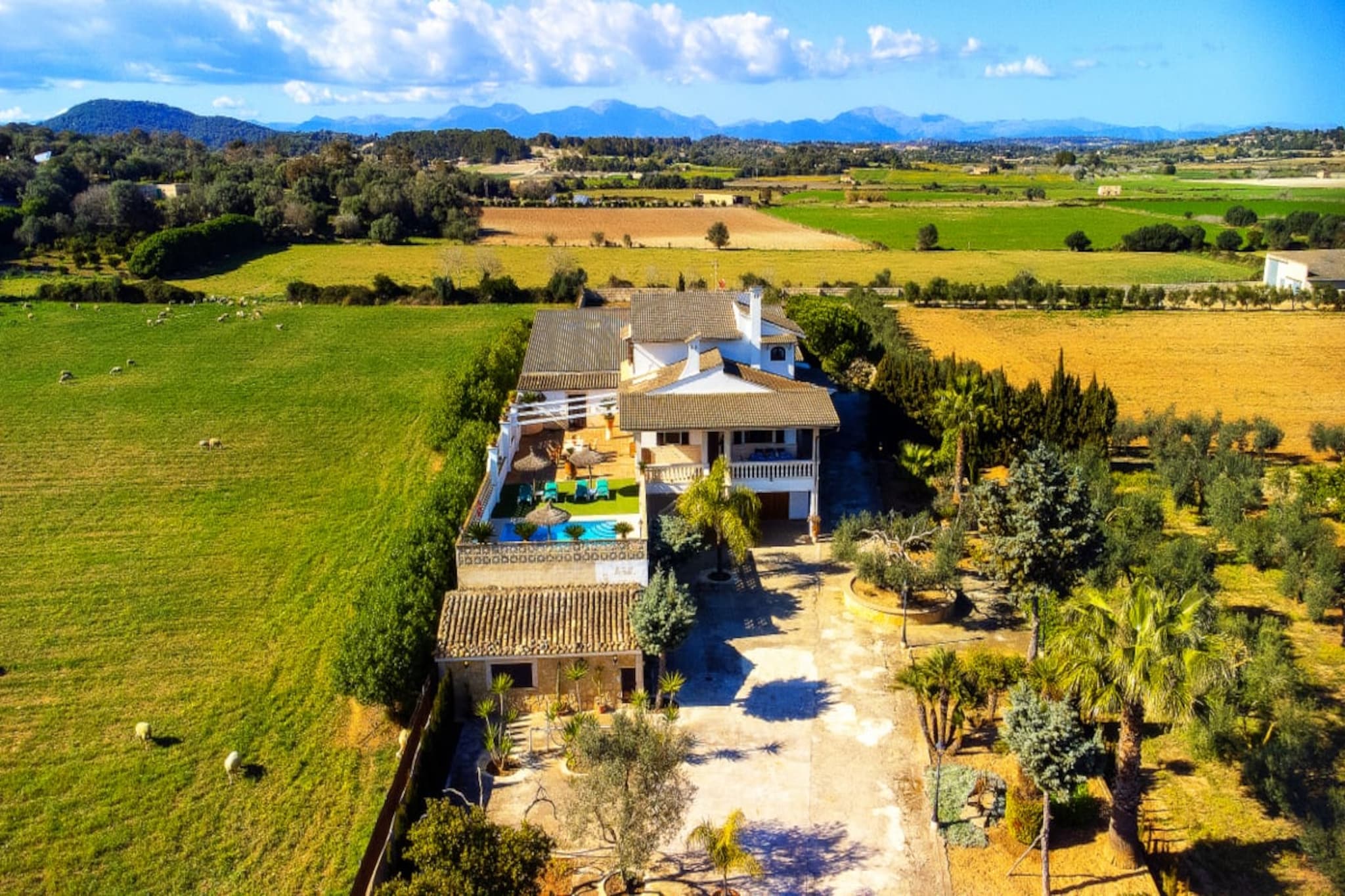 Villa Barbara in Pet