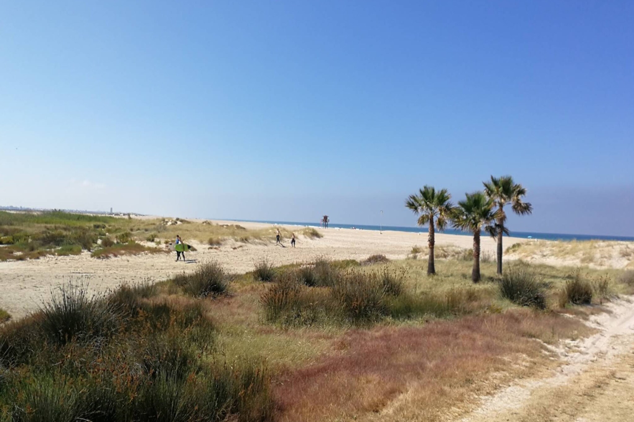 4977 -636021638-Gebiete Sommer 5 km