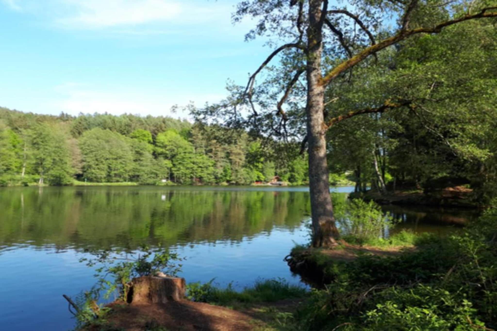 Feriendorf Waldbrunn 2-Gebieden zomer 20km