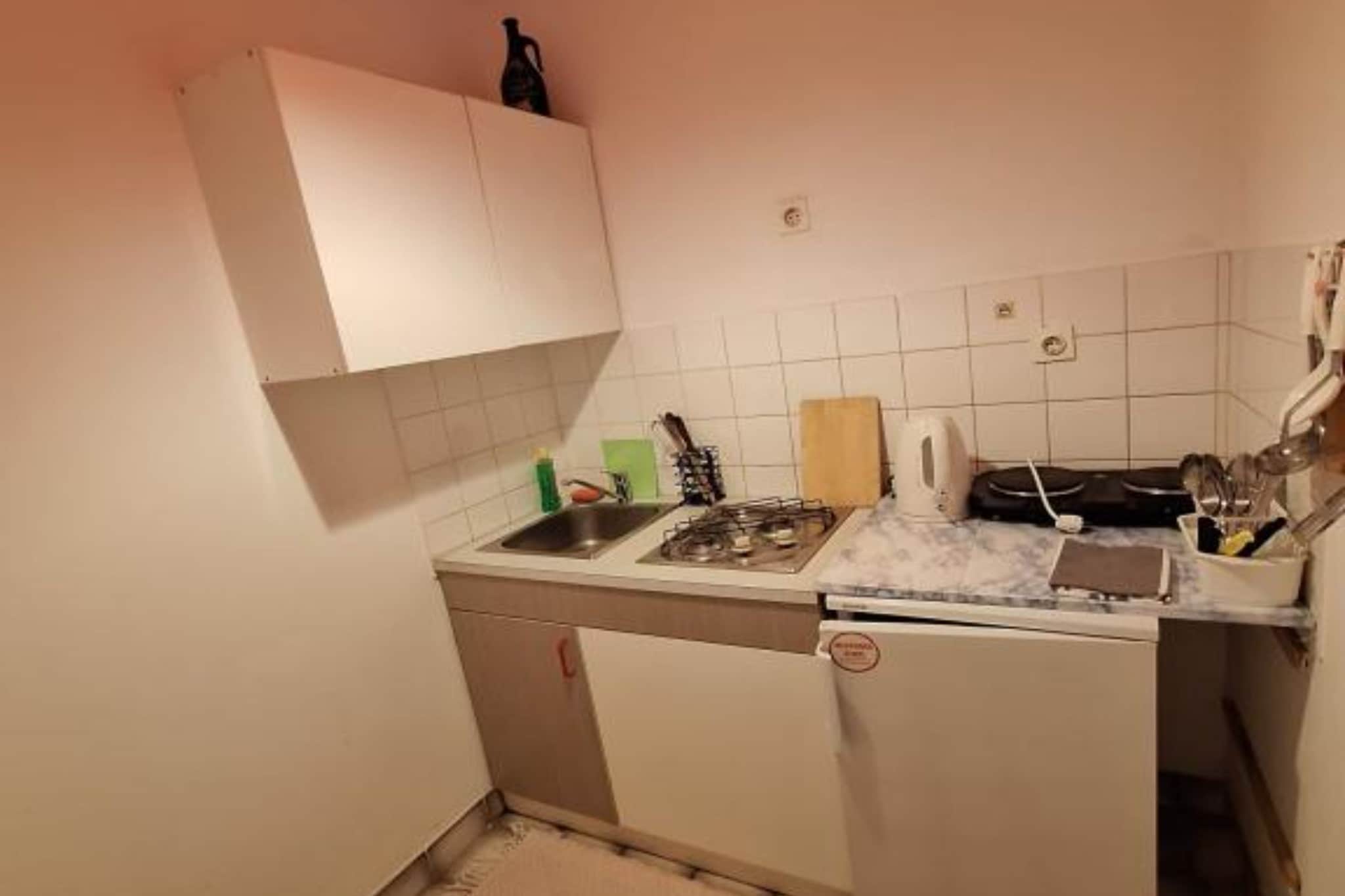 Apartments Villa Šesto - One Bedroom Apartment with Balcony(2)-Cuisine