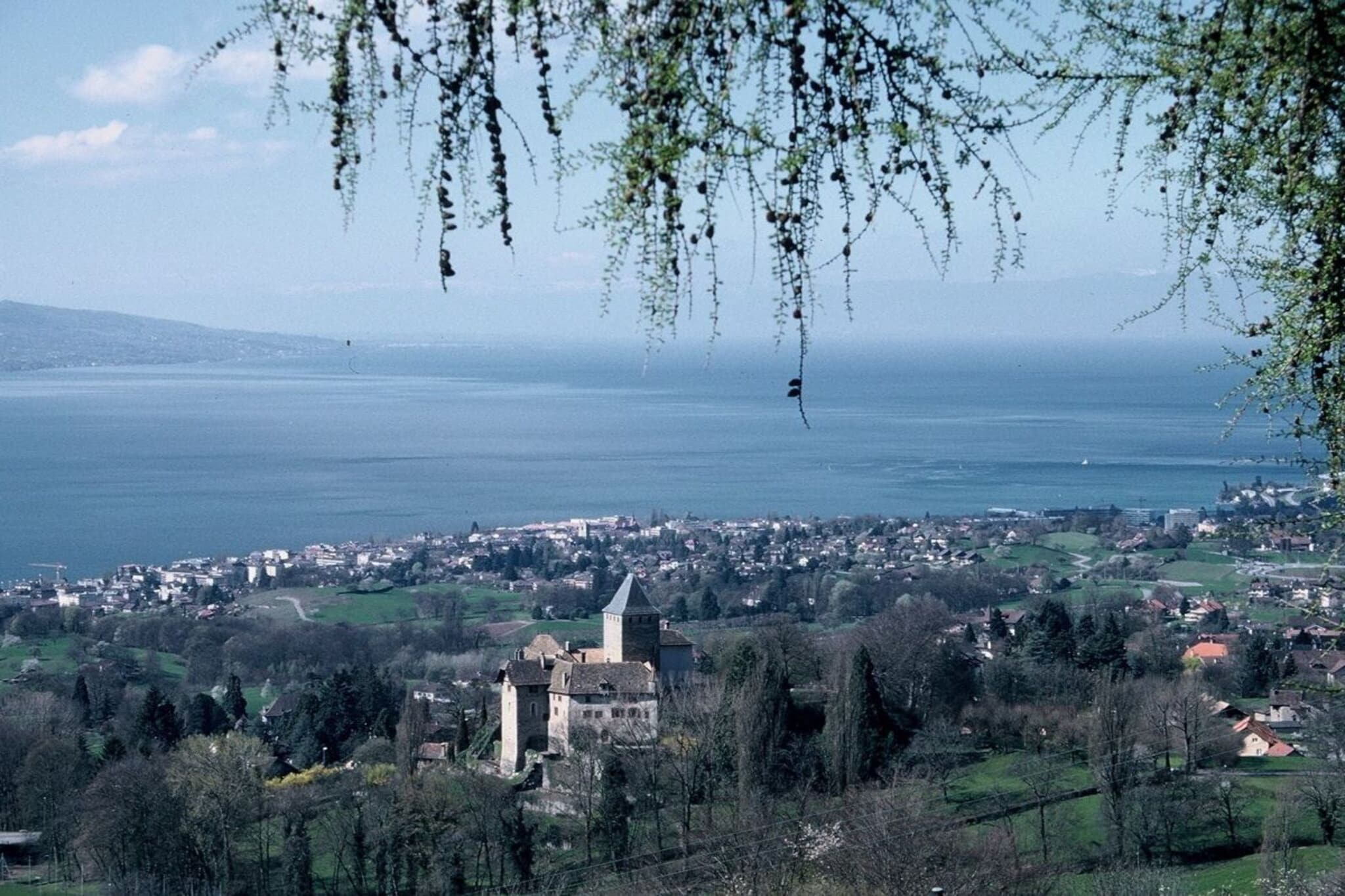 Fribourg-Vaud