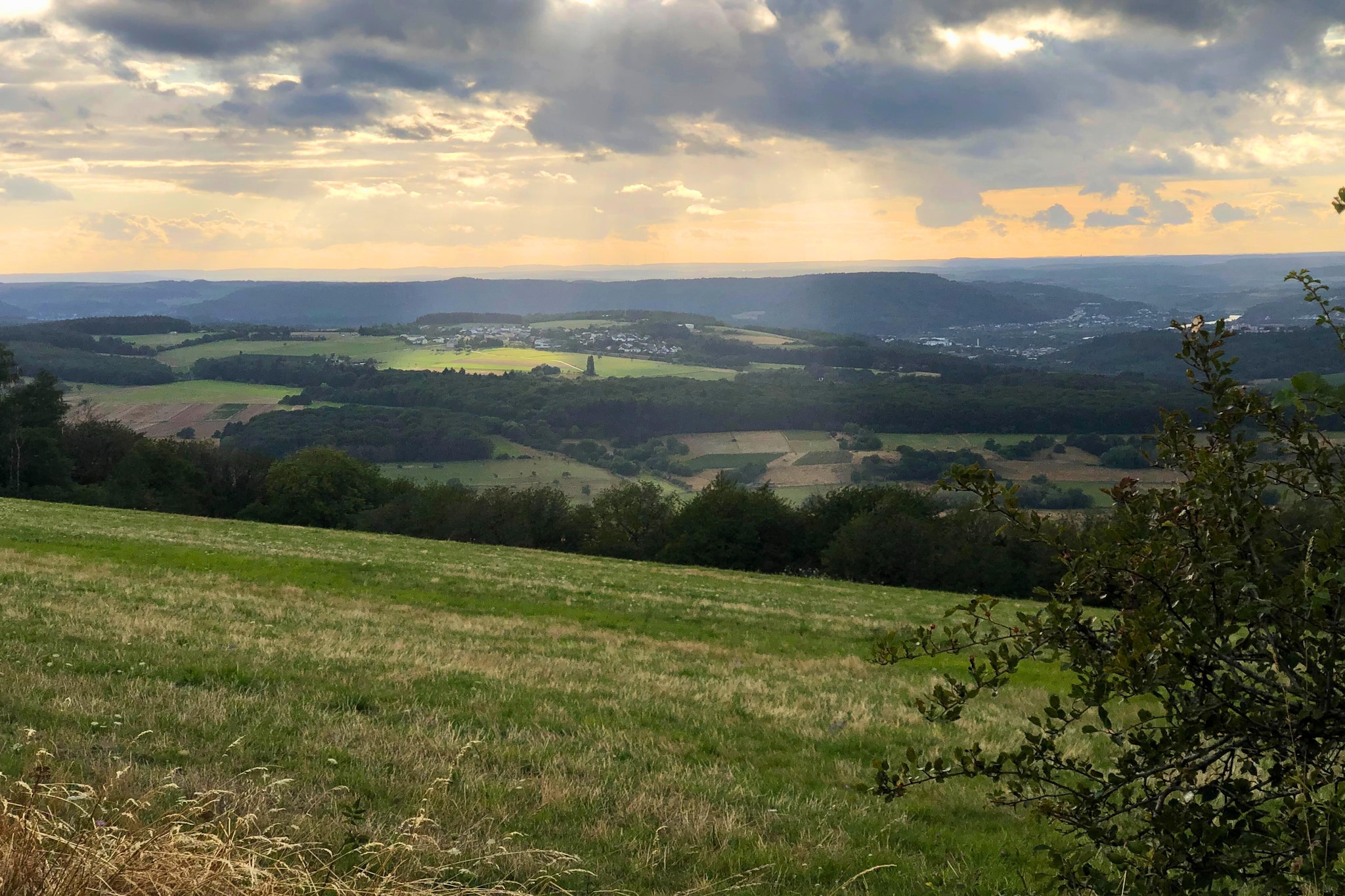 PH5 Pellinger-Hof Studio Apartment-Gebieden zomer 5km