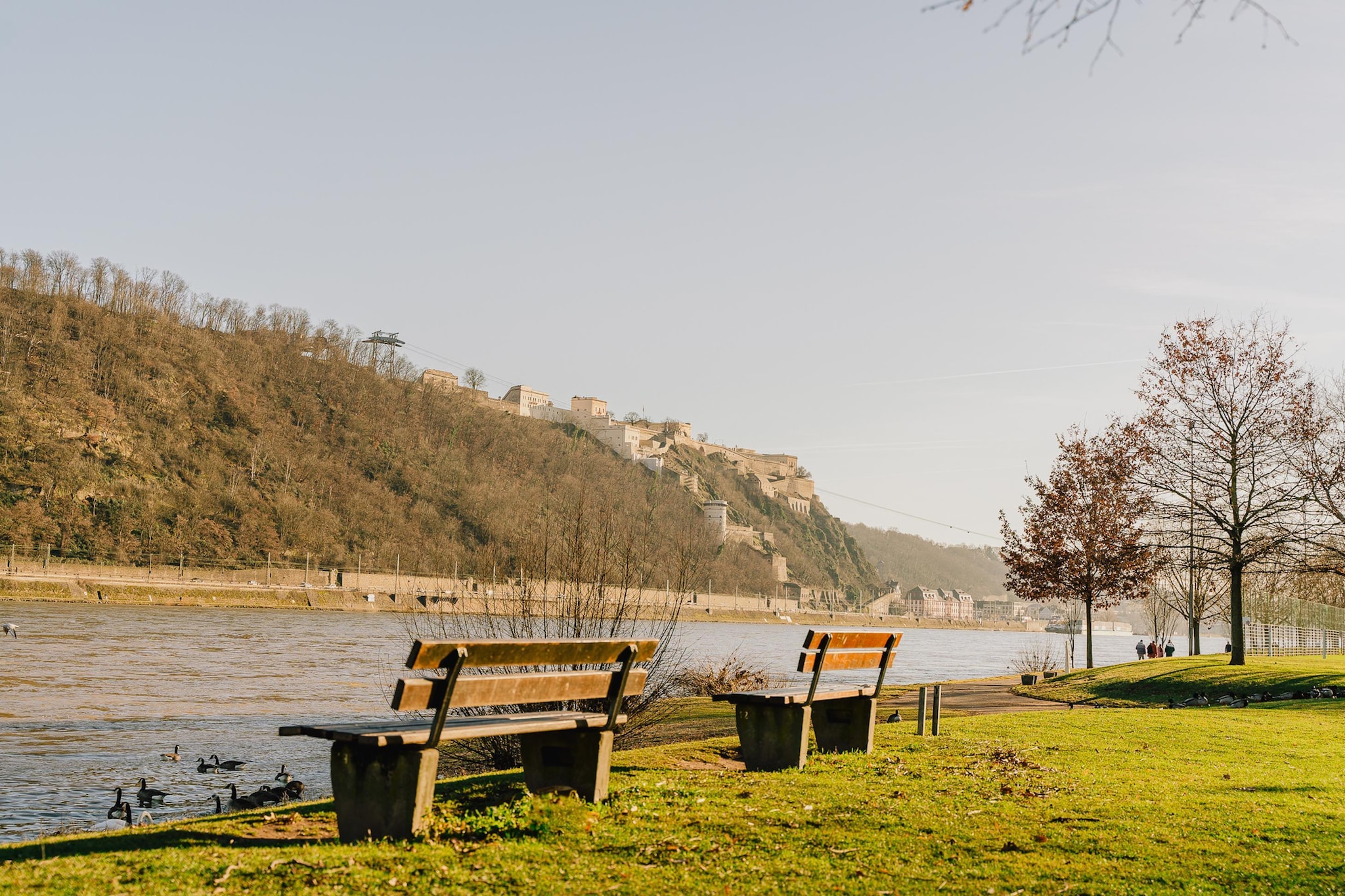 Rheinblick-Gebieden zomer 5km