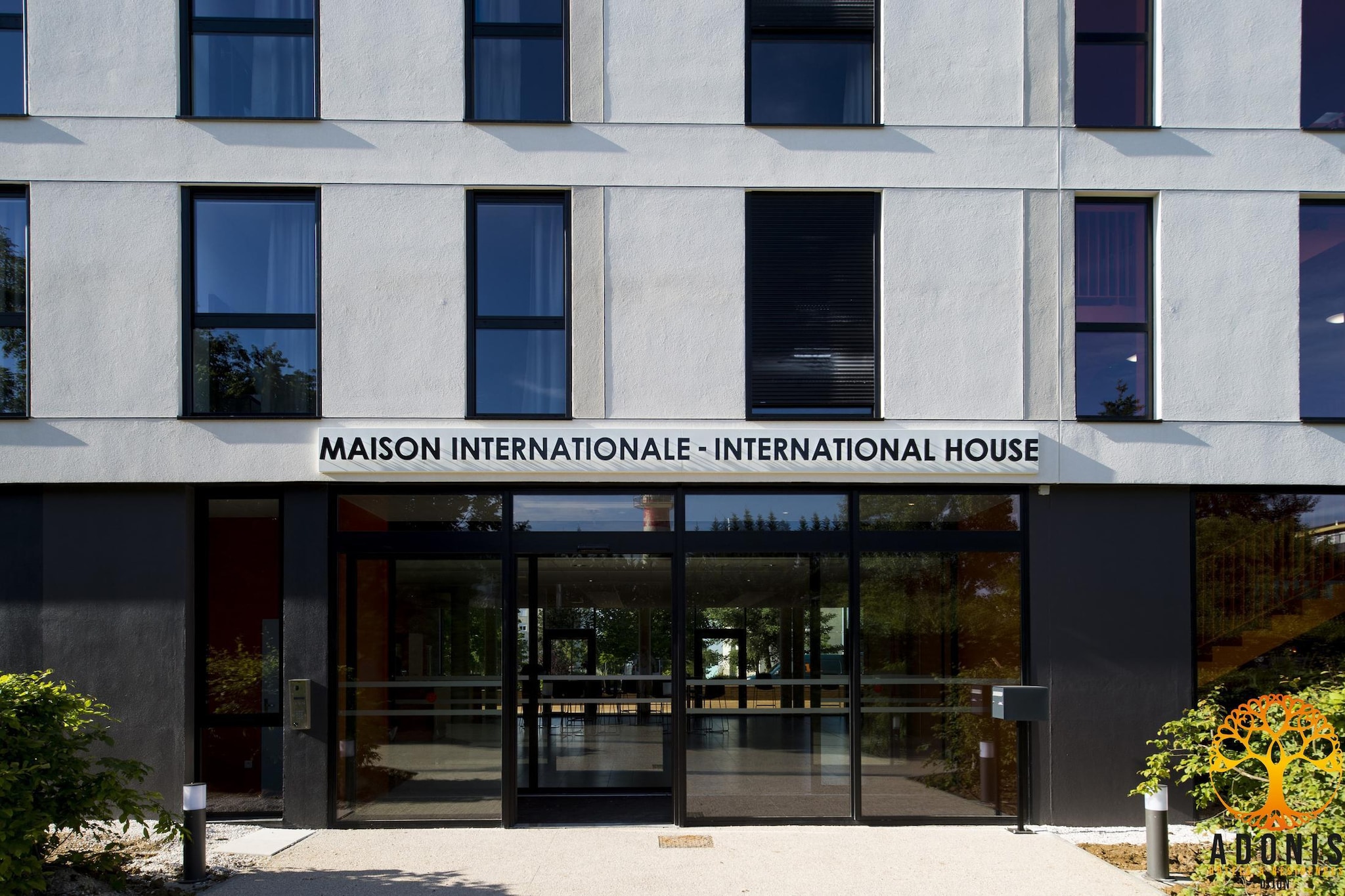 Adonis Dijon single apartment